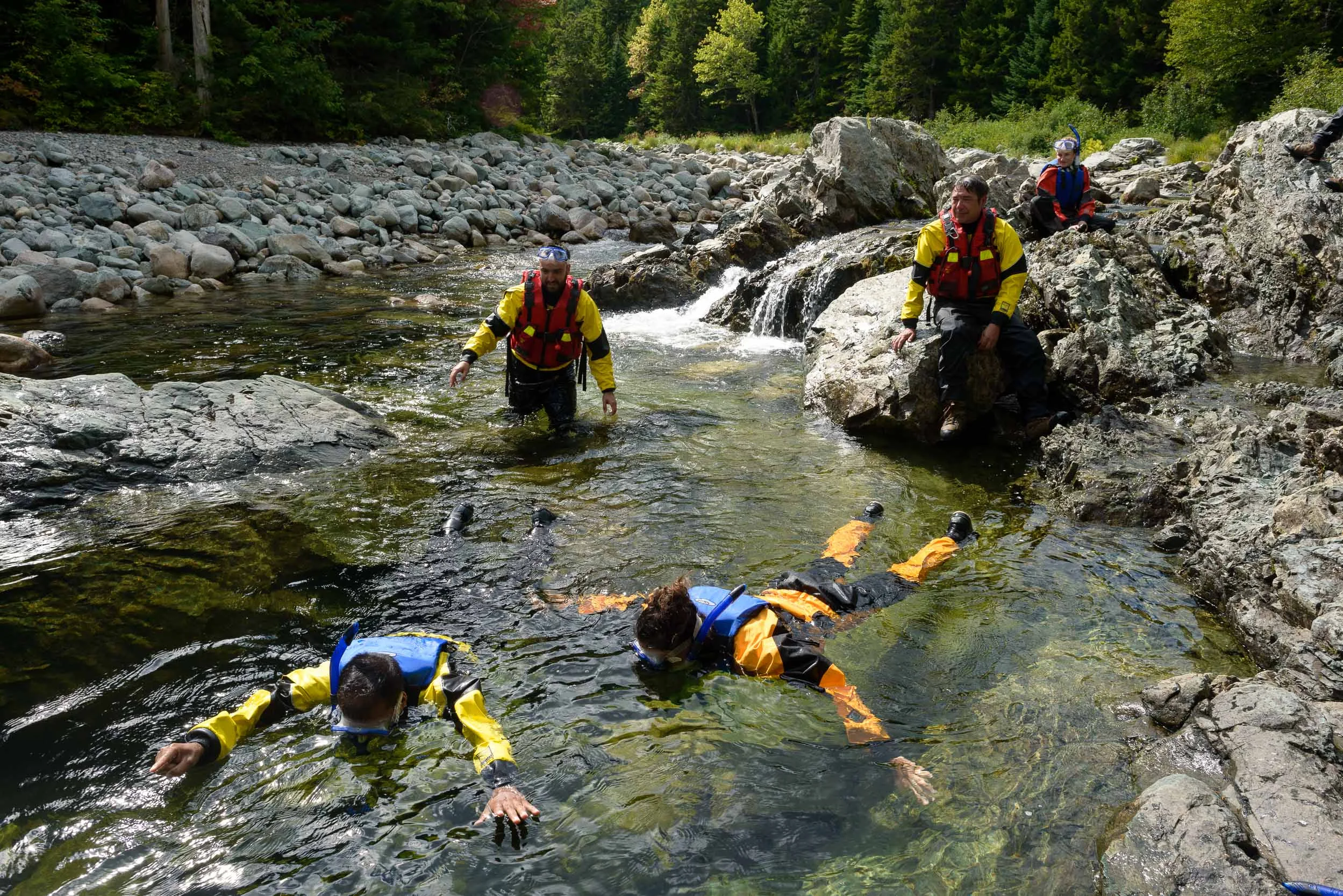 Nigel Fearon Photography | Parks-27.jpg