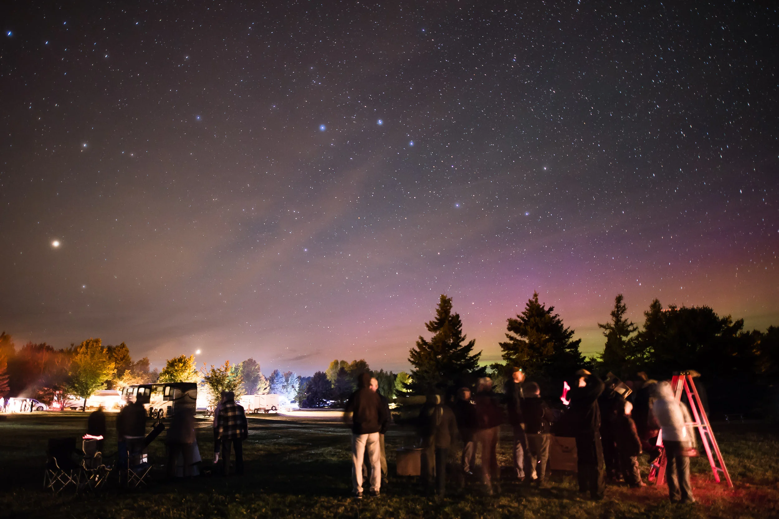 Nigel Fearon Photography | Parks-32.jpg