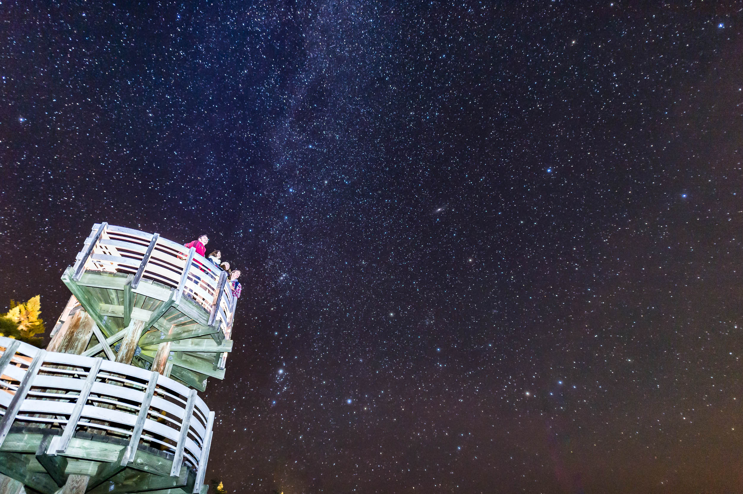 Nigel Fearon Photography | Parks-33.jpg