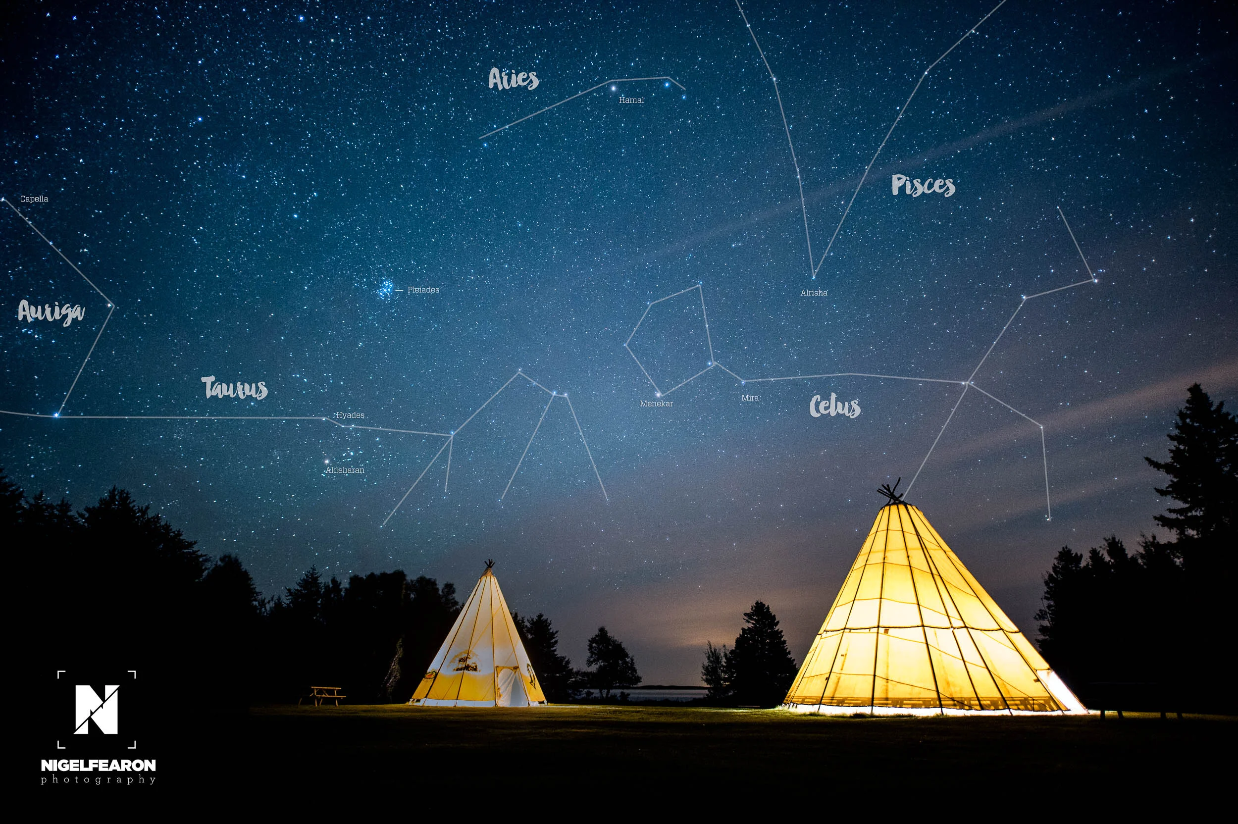 Nigel Fearon Photography | Parks-34.jpg