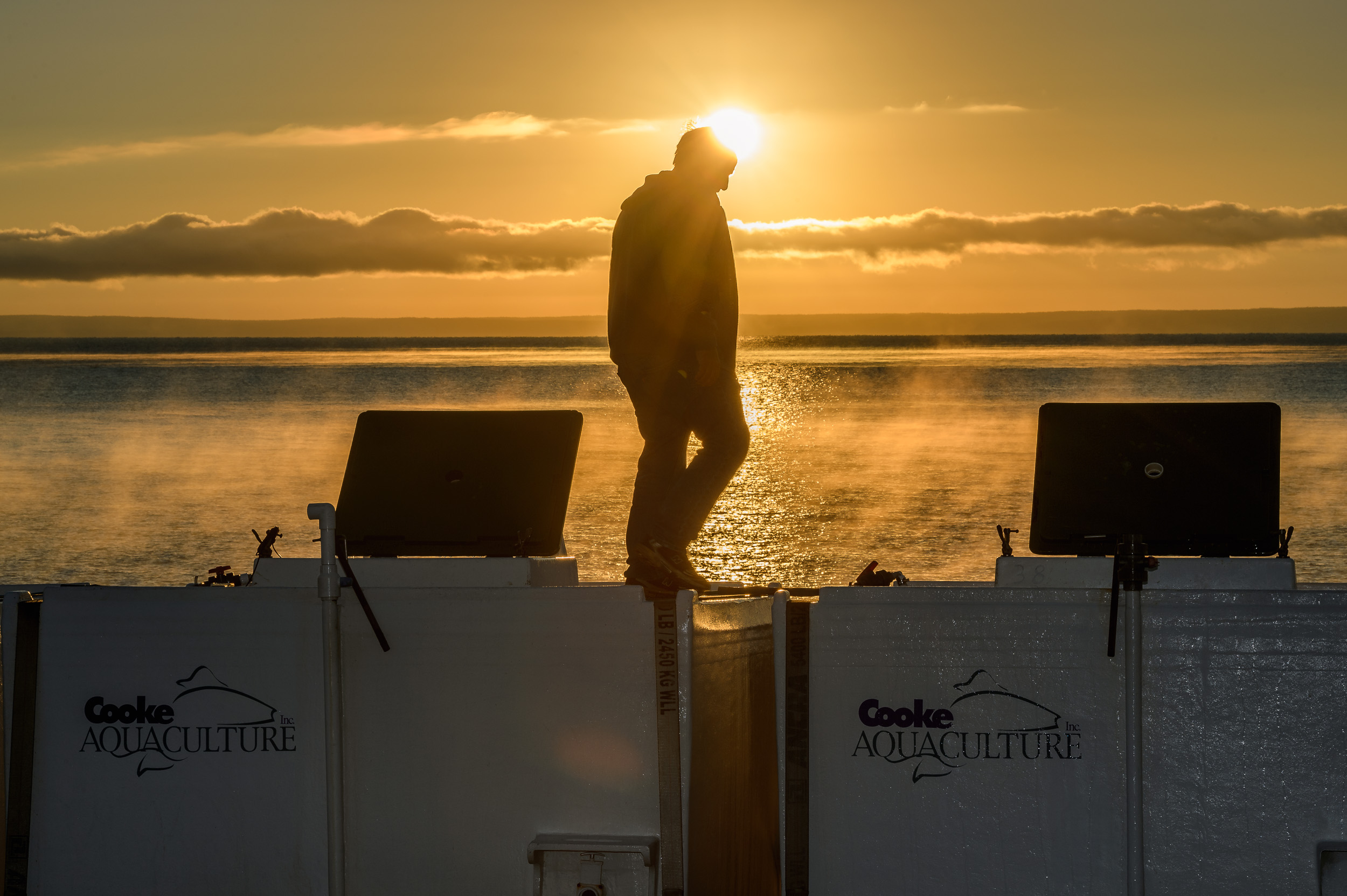 Nigel Fearon Photography | Parks-36.jpg