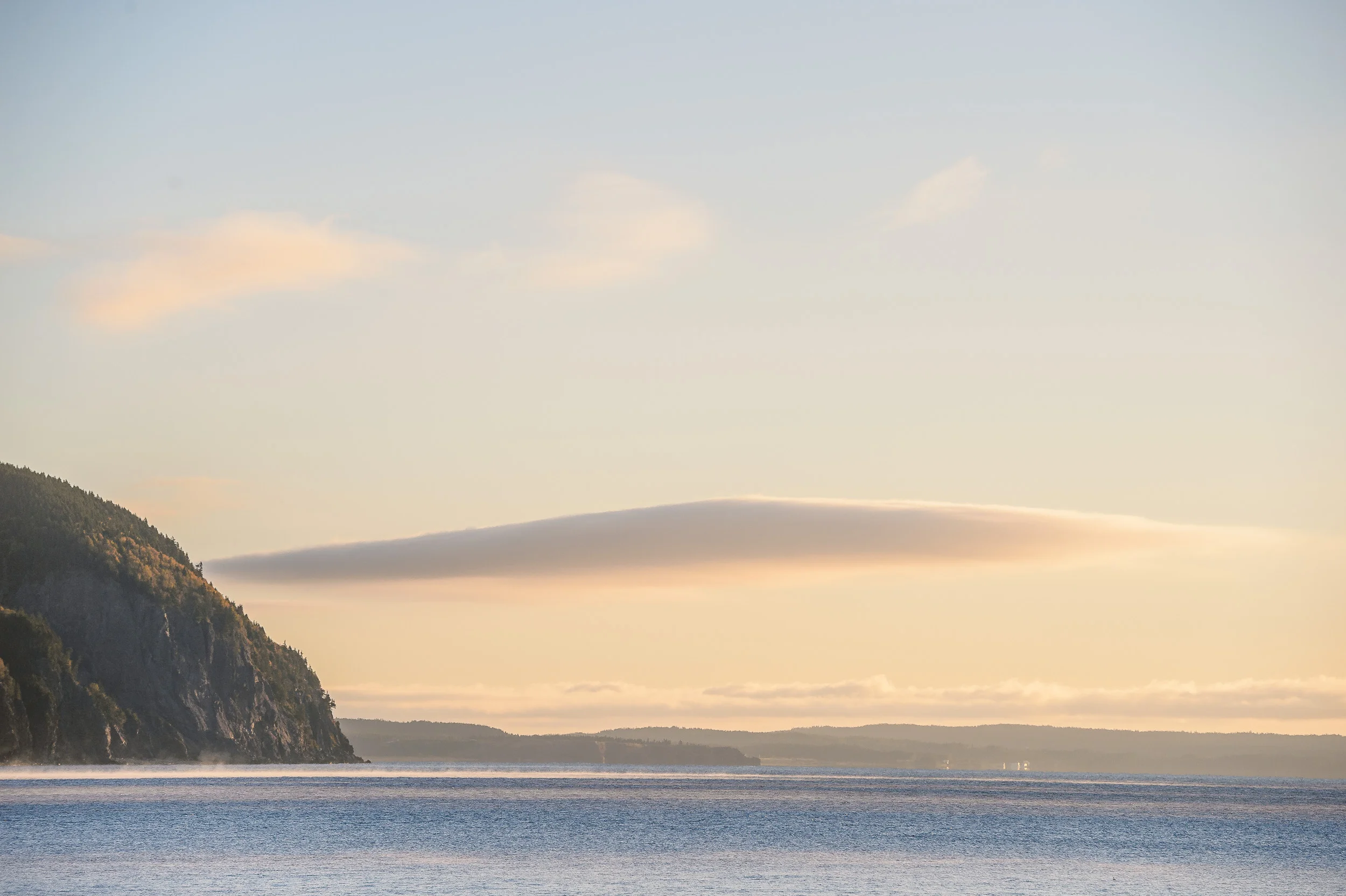 Nigel Fearon Photography | Parks-37.jpg