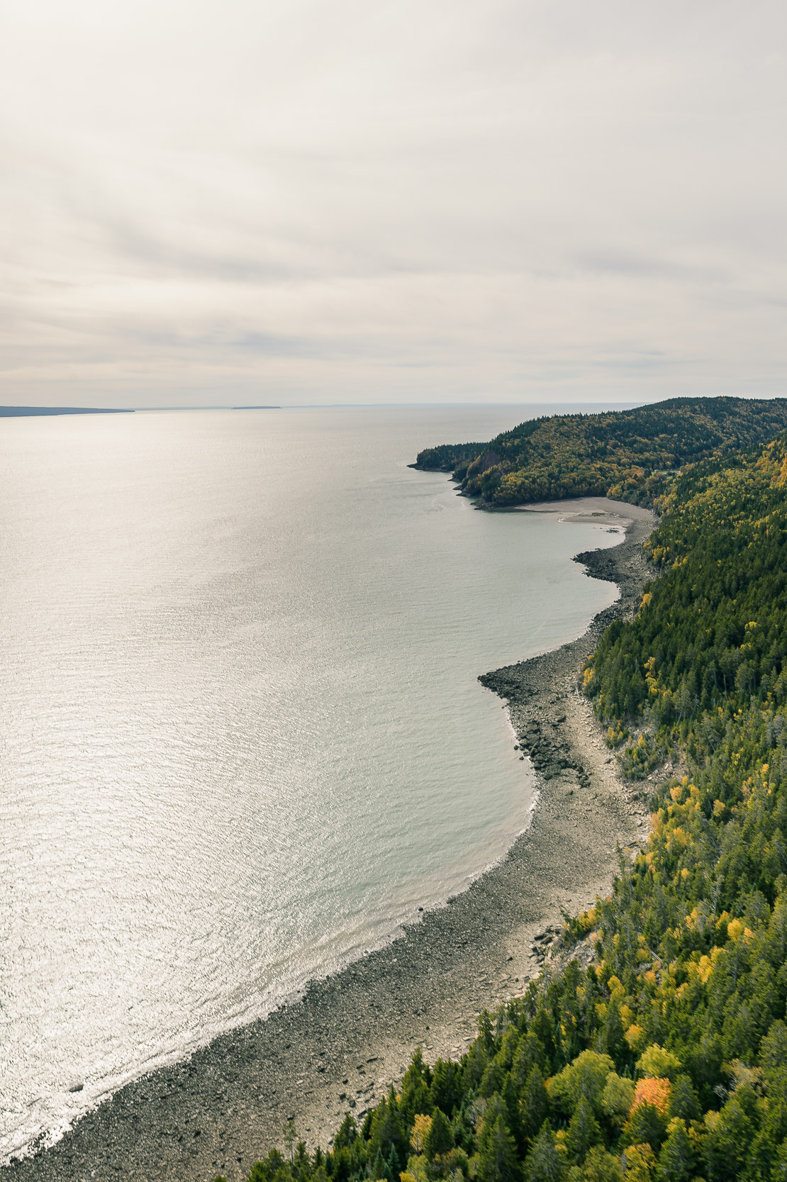 Nigel Fearon Photography | Parks-40.jpg