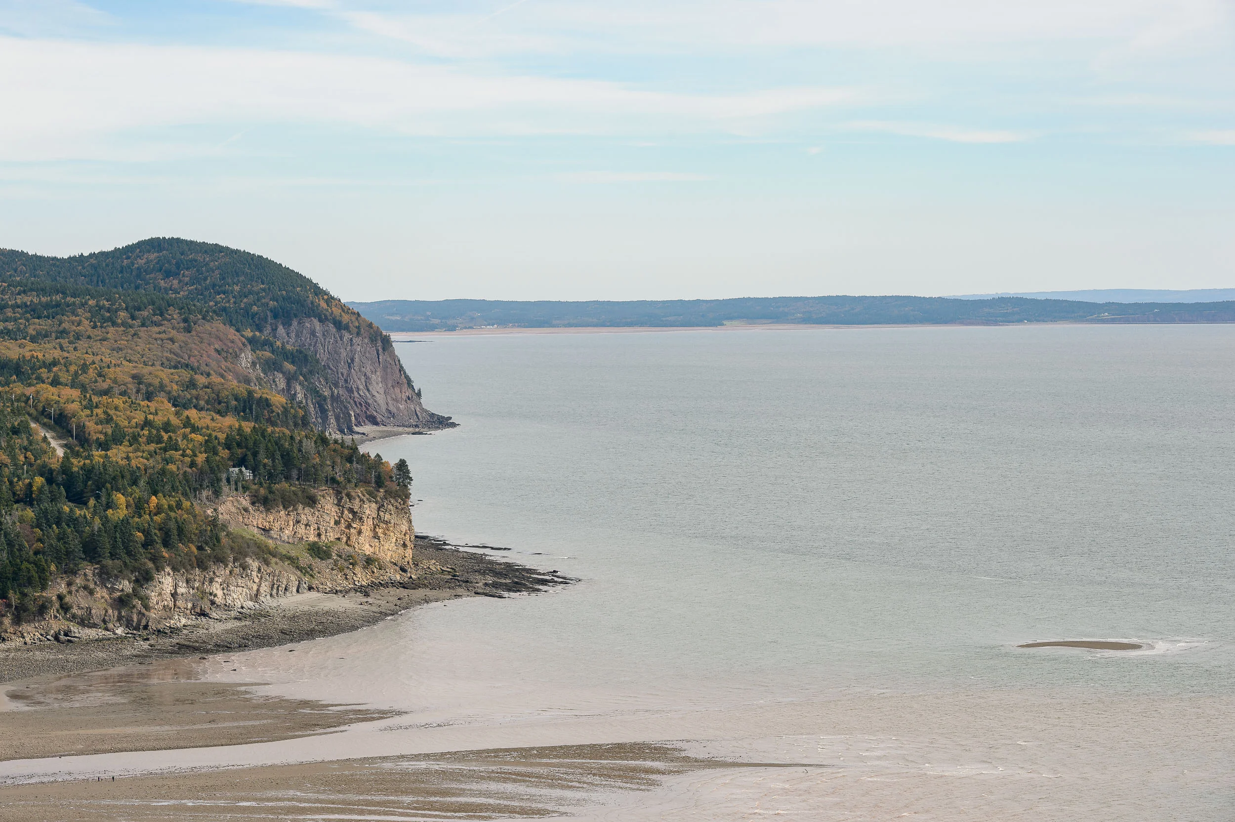 Nigel Fearon Photography | Parks-41.jpg