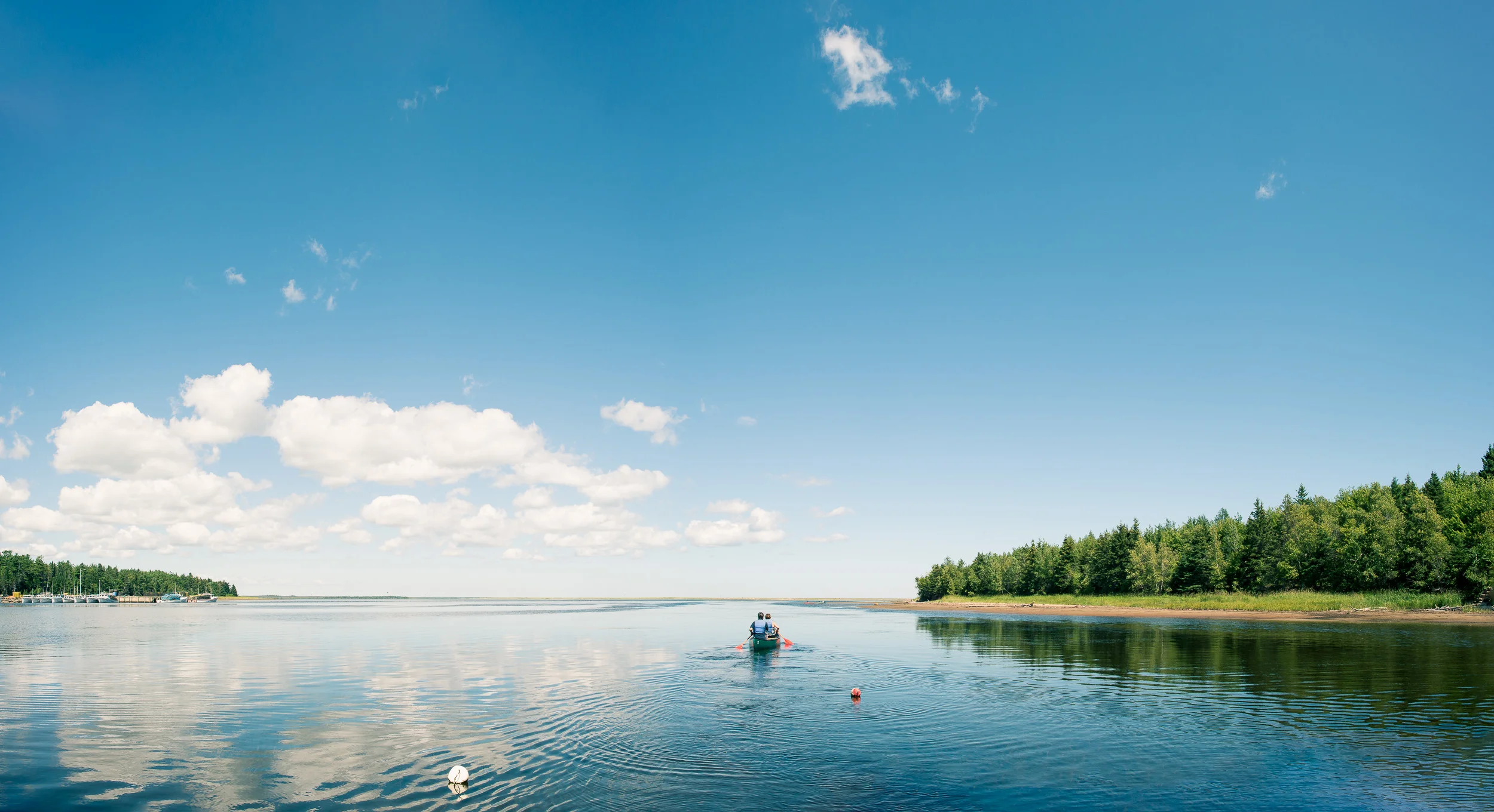 Nigel Fearon Photography | Parks-47.jpg