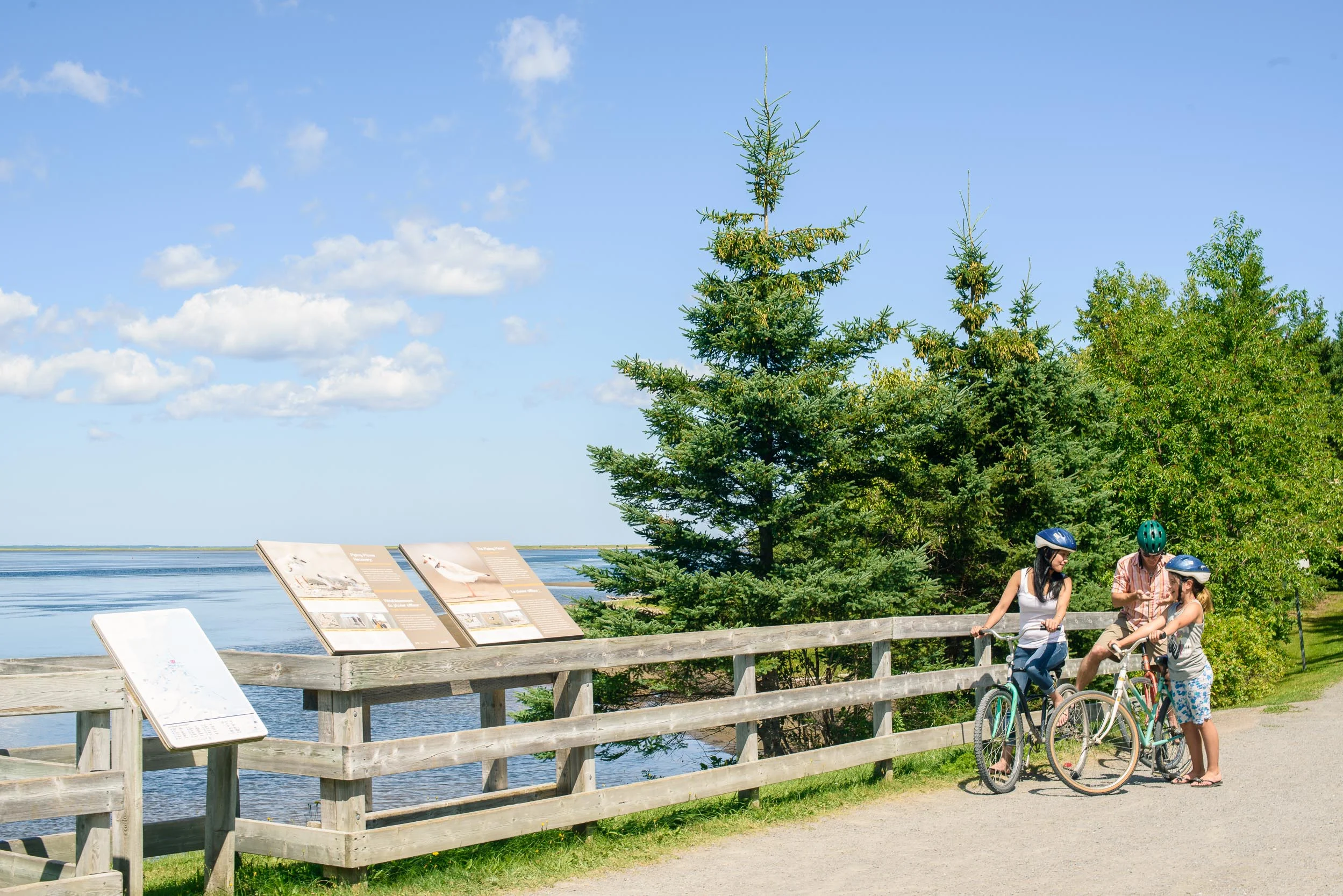 Nigel Fearon Photography | Parks-49.jpg