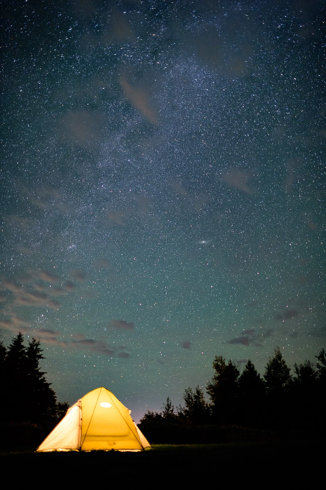 Nigel Fearon Photography | Parks-59.jpg