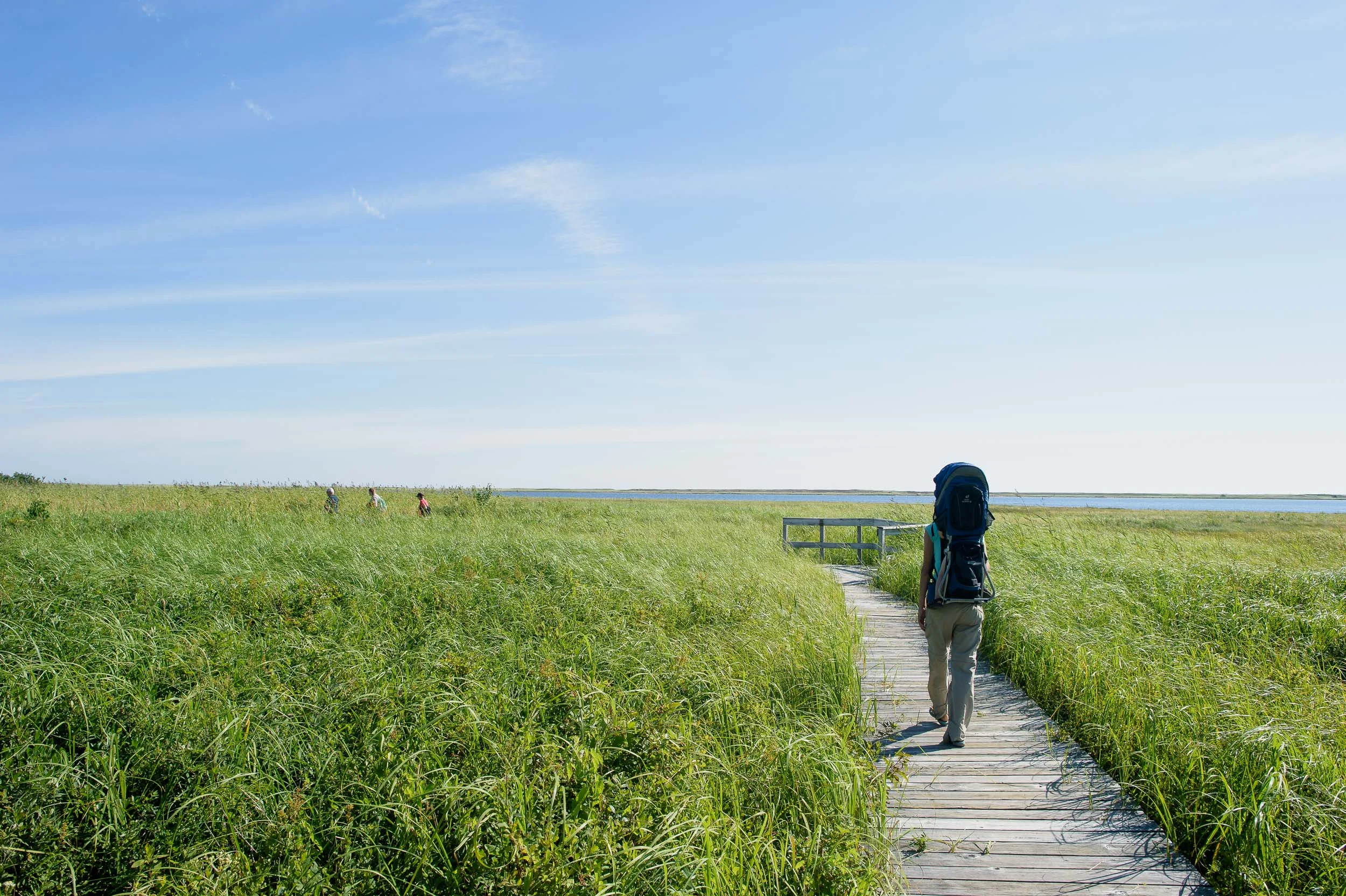 Nigel Fearon Photography | Parks-60.jpg