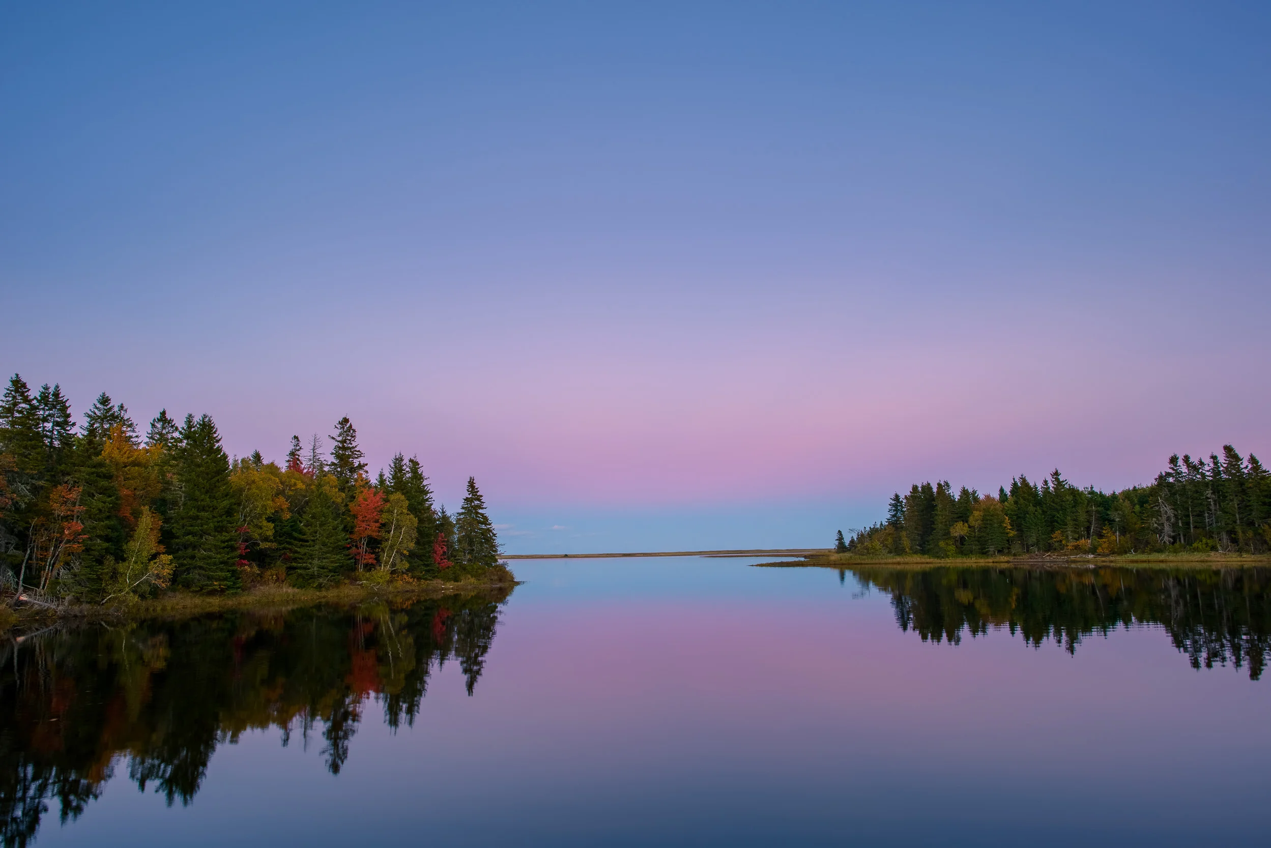 Nigel Fearon Photography | Parks-70.jpg