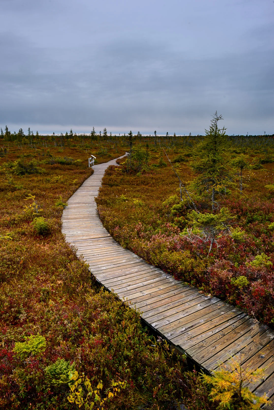 Nigel Fearon Photography | Parks-71.jpg