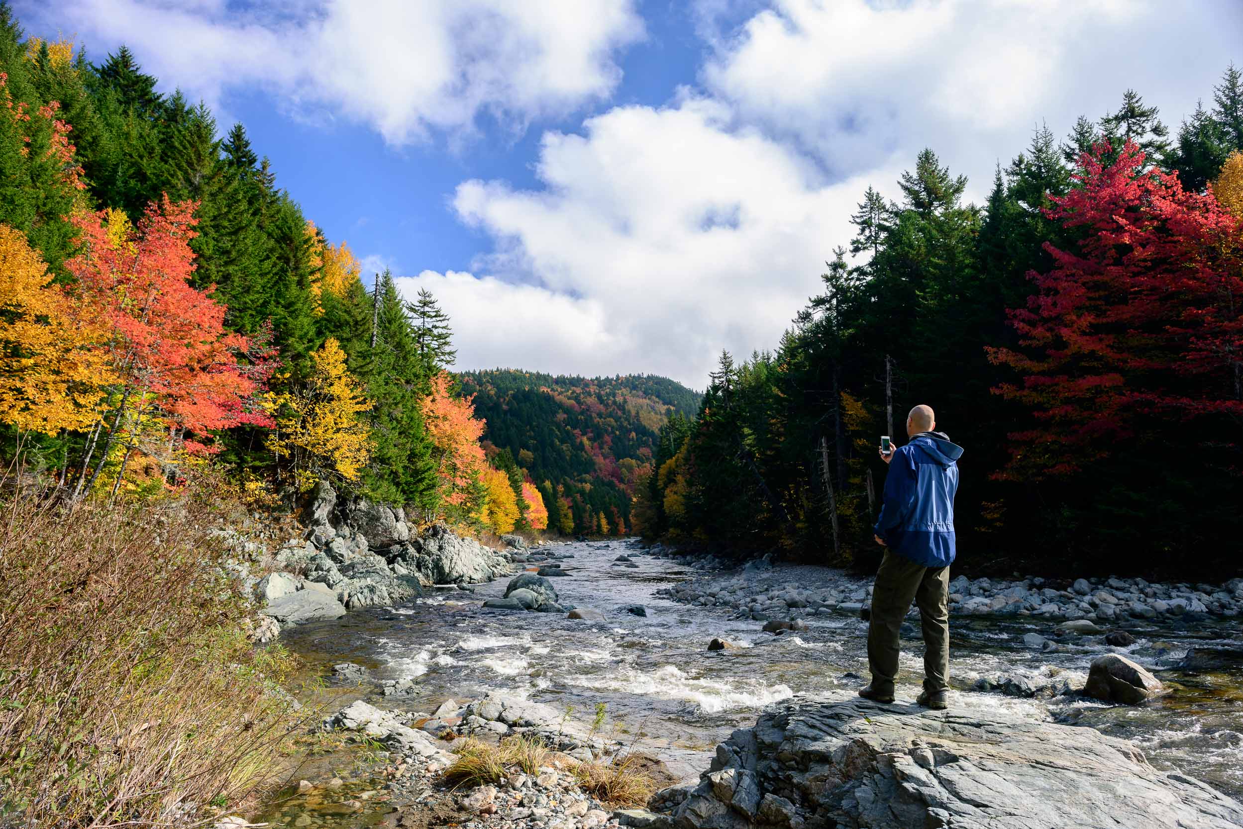 Nigel Fearon Photography | Parks-75.jpg