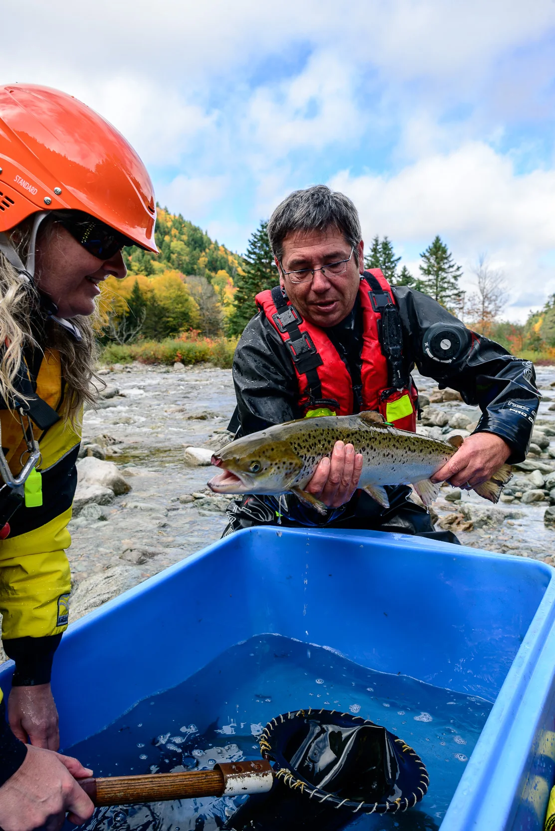 Nigel Fearon Photography | Parks-76.jpg