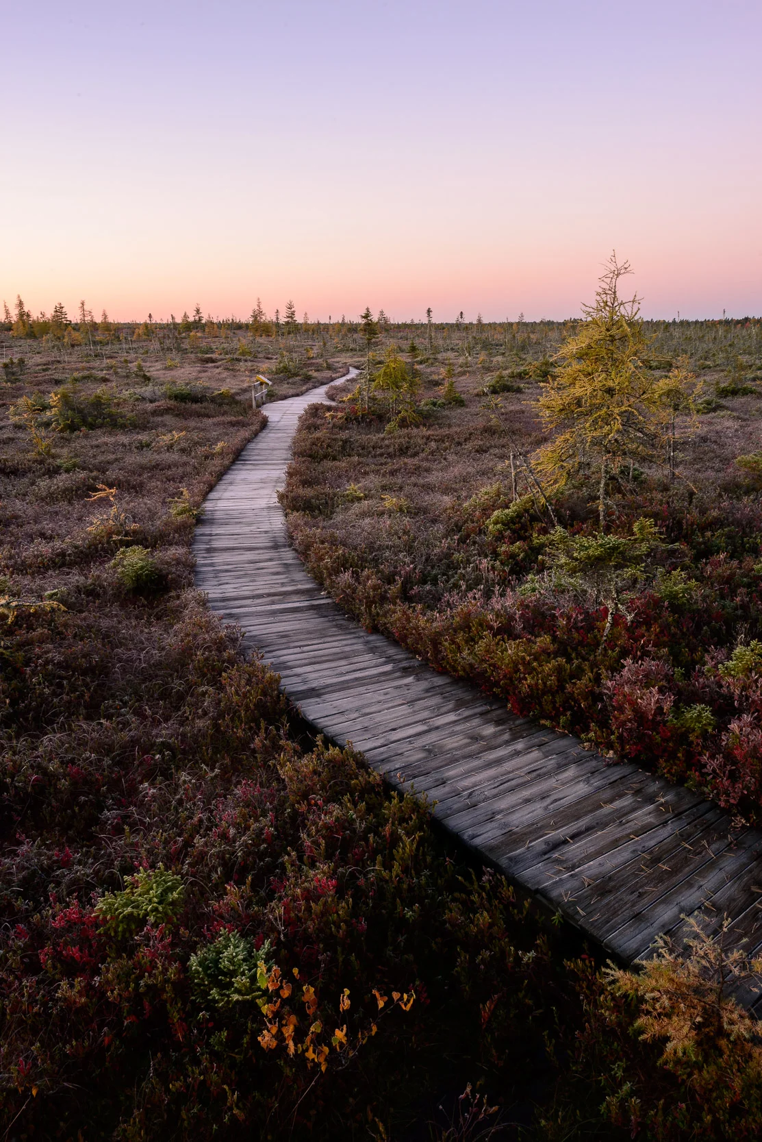 Nigel Fearon Photography | Parks-78.jpg