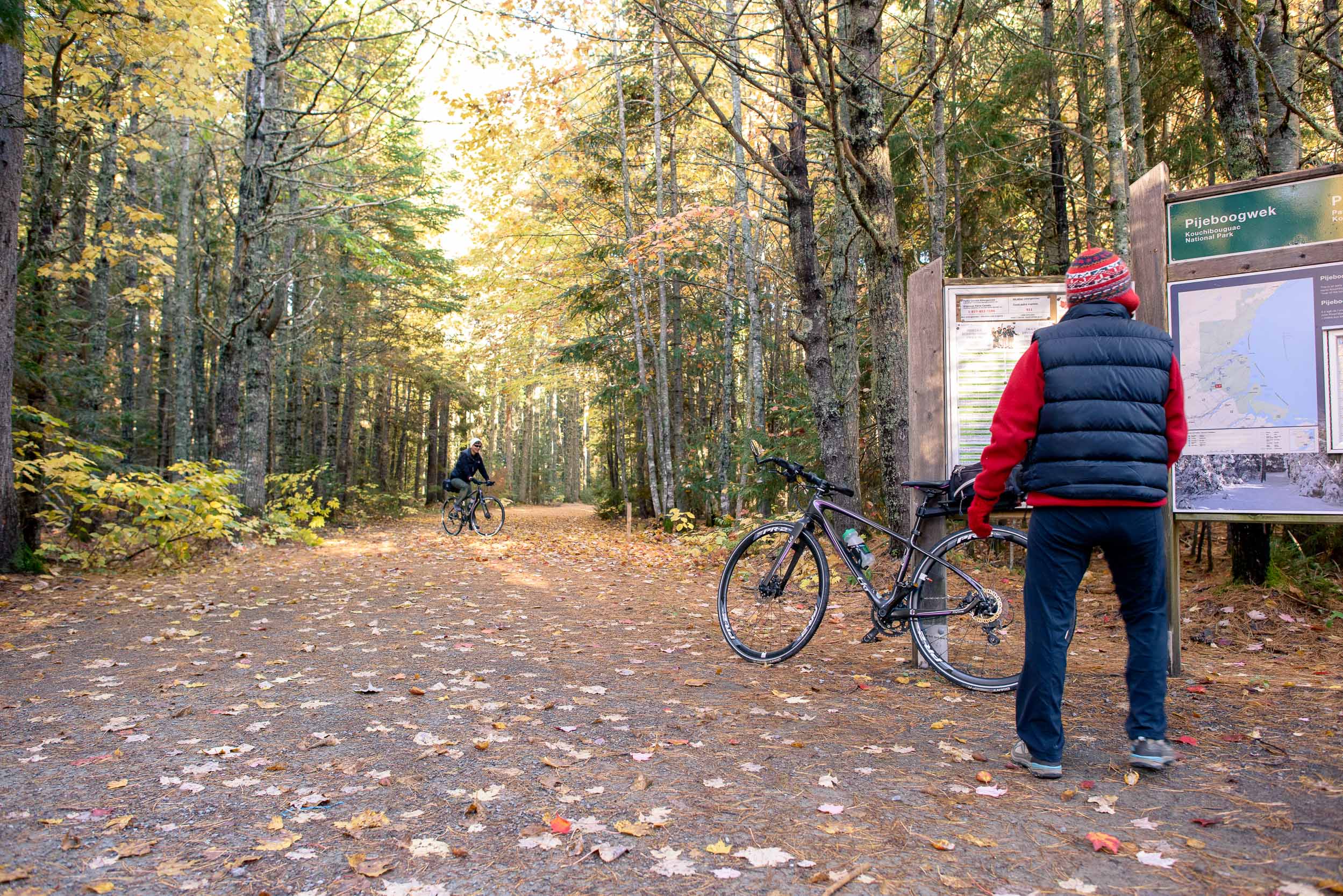 Nigel Fearon Photography | Parks-81.jpg