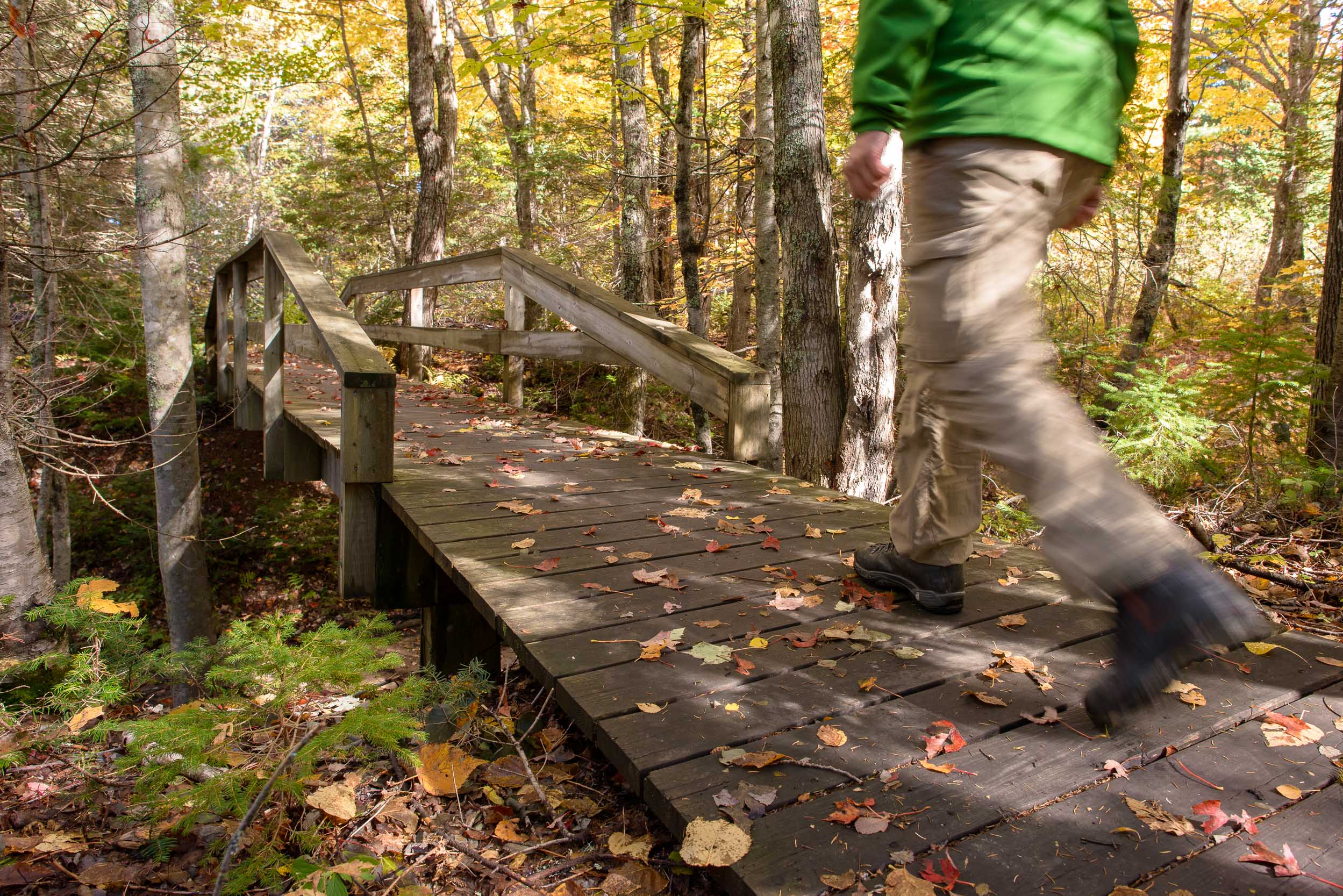 Nigel Fearon Photography | Parks-85.jpg