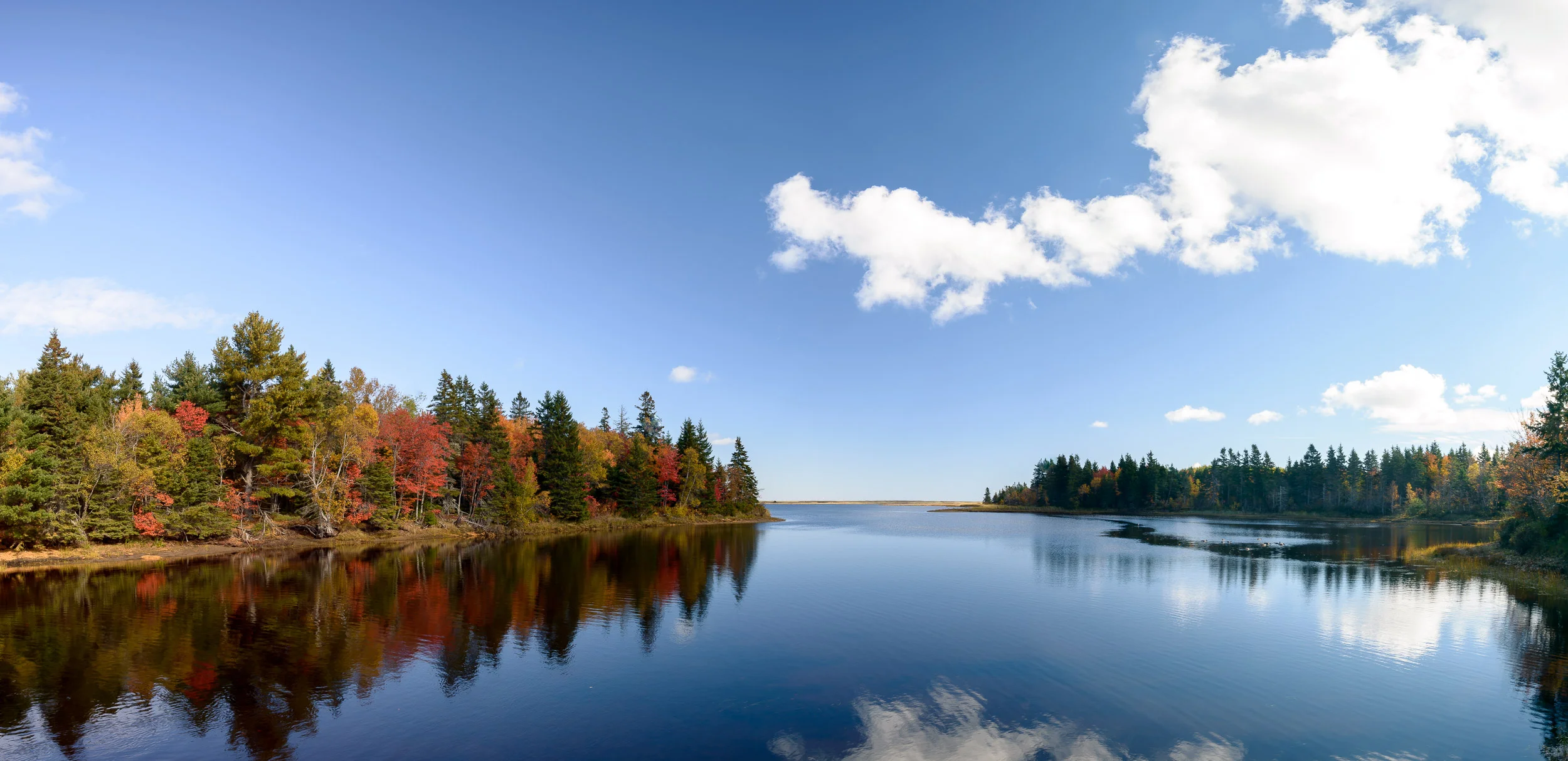 Nigel Fearon Photography | Parks-87.jpg