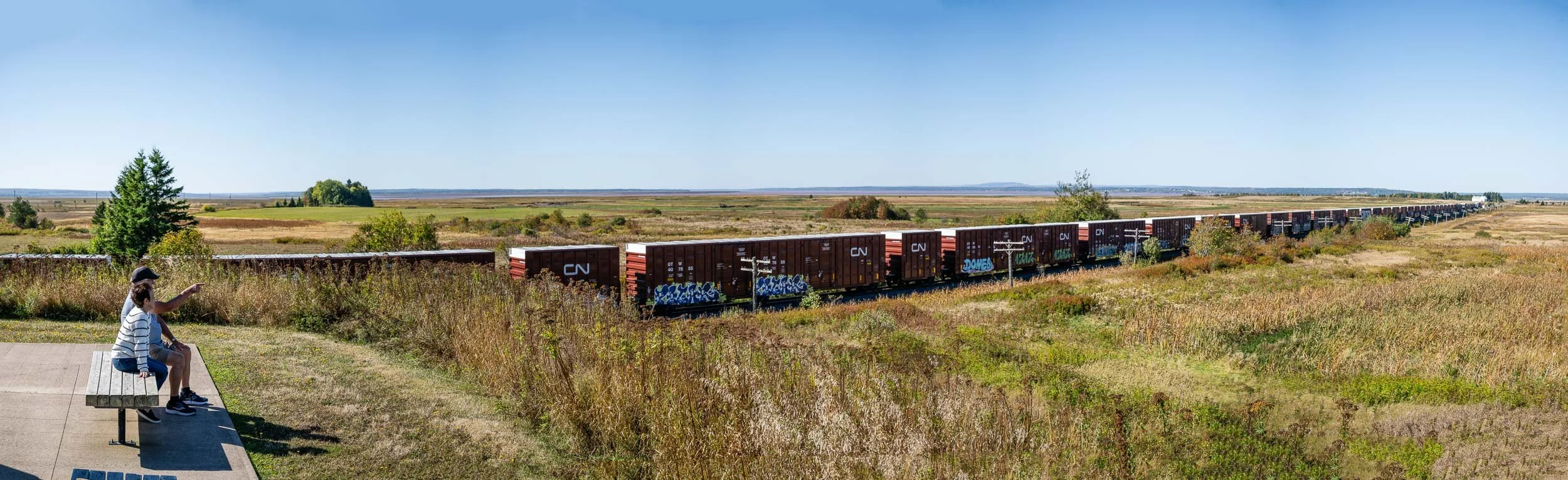 _NFZ4564-Pano.jpg