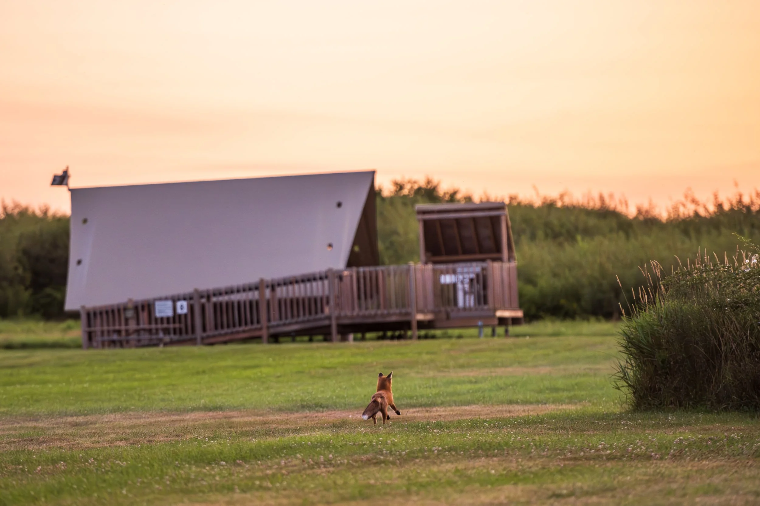 NigelFearonPhotography-ParksCanadaGrandPre-202508--2183.jpg
