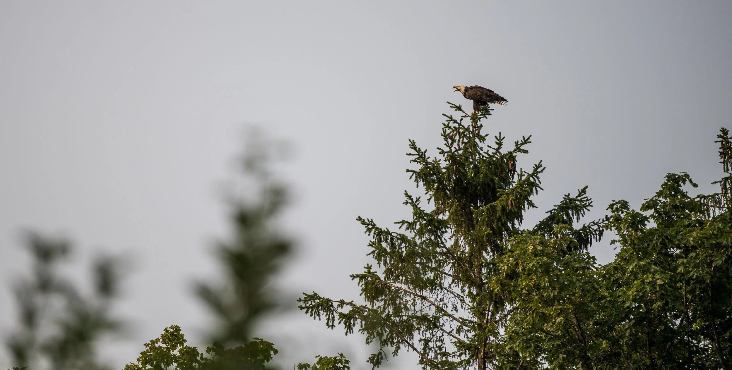 NigelFearonPhotography-ParksCanadaGrandPre-202508--6450.jpg