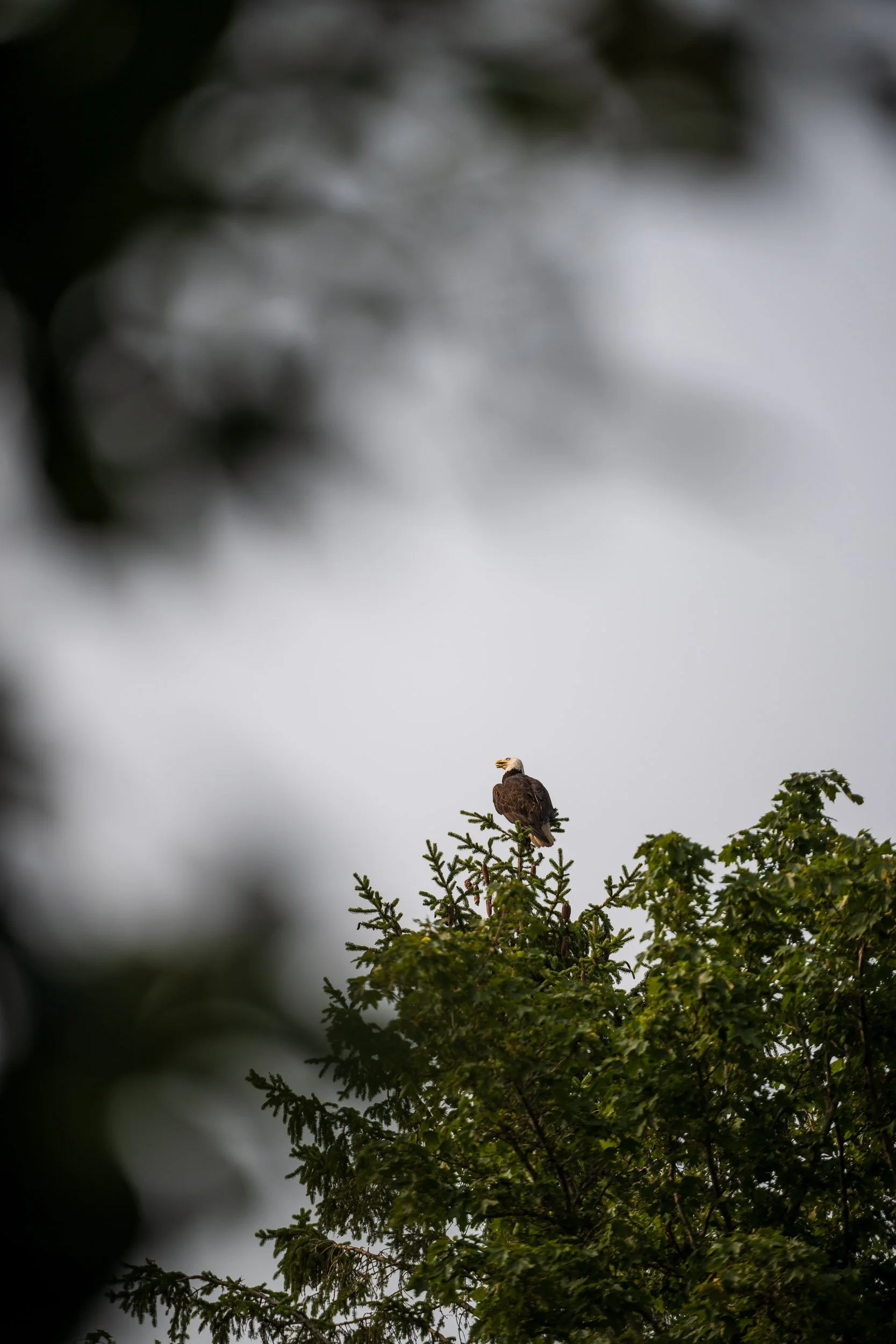NigelFearonPhotography-ParksCanadaGrandPre-202508--6474.jpg