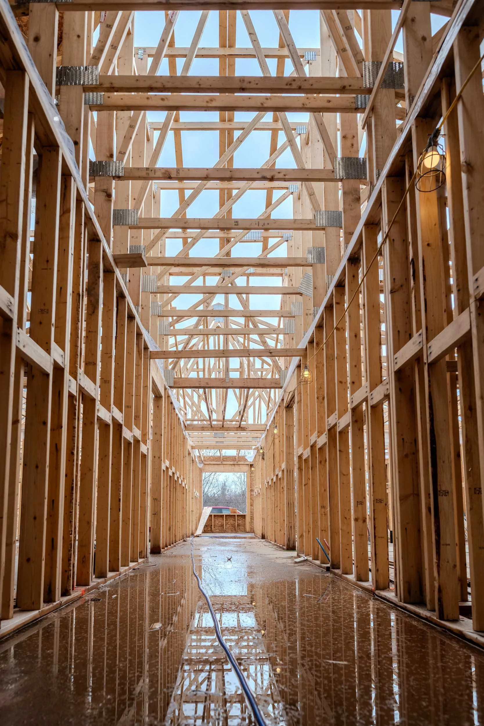 _NFP7980-HDR.jpg