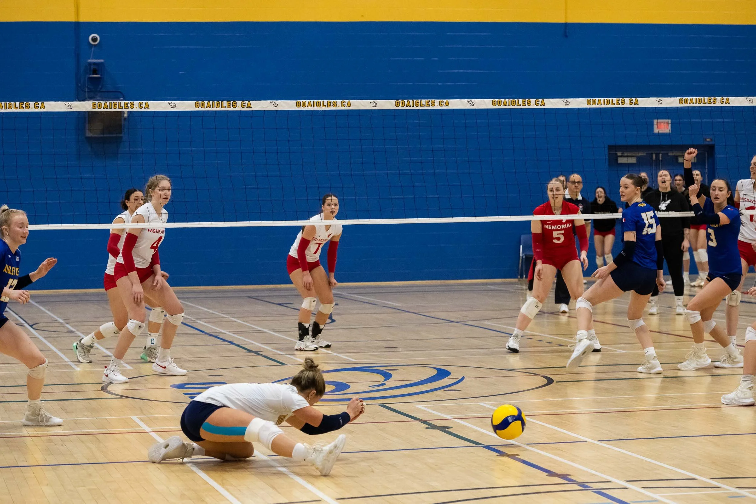NigelFearonPhotography-UdeMVolleyball-20250118-8013.jpg