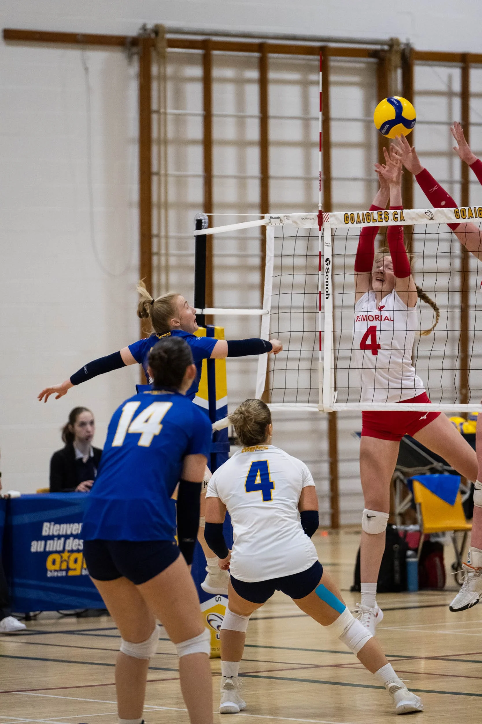 NigelFearonPhotography-UdeMVolleyball-20250118-5219.jpg