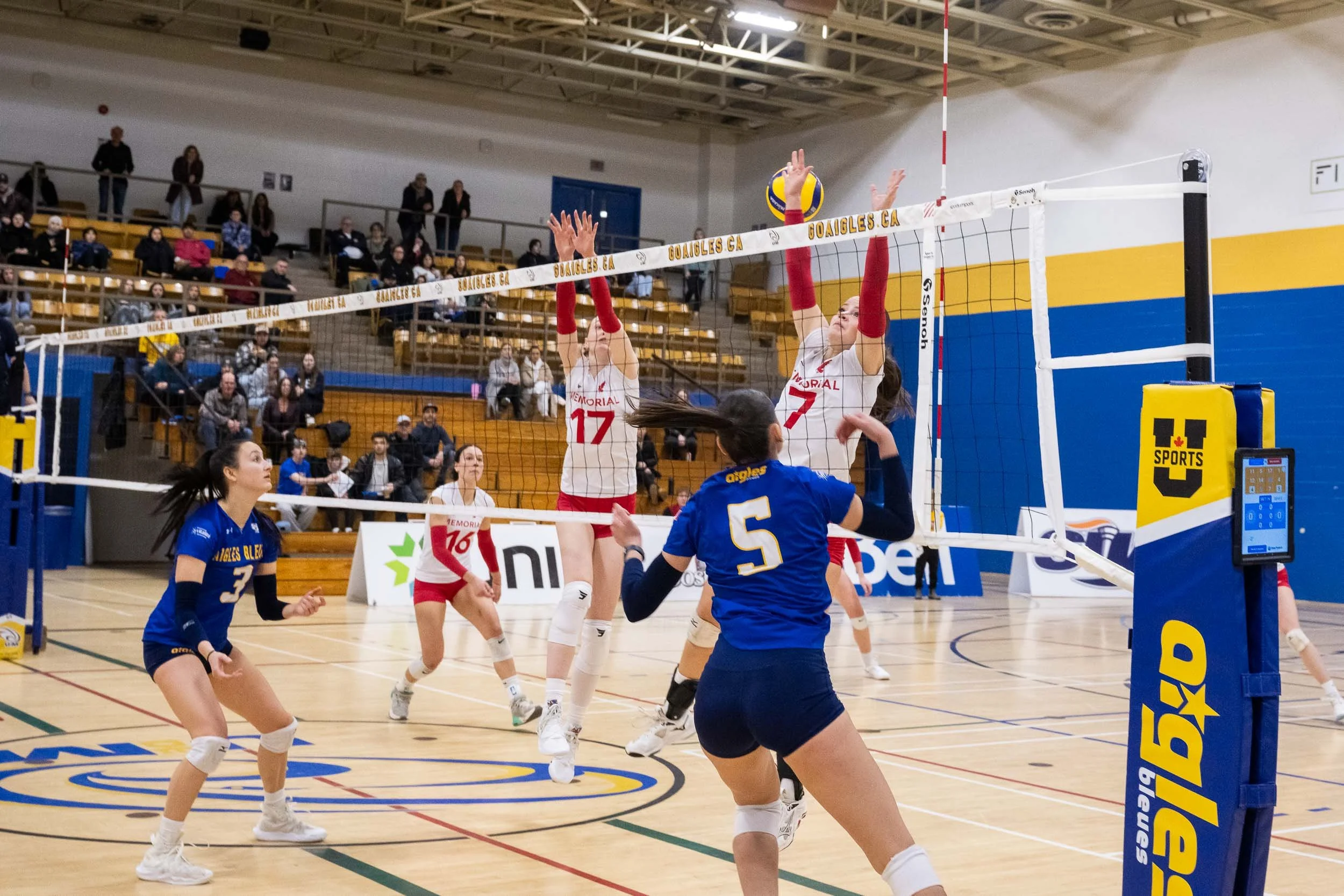 NigelFearonPhotography-UdeMVolleyball-20250118-7675.jpg