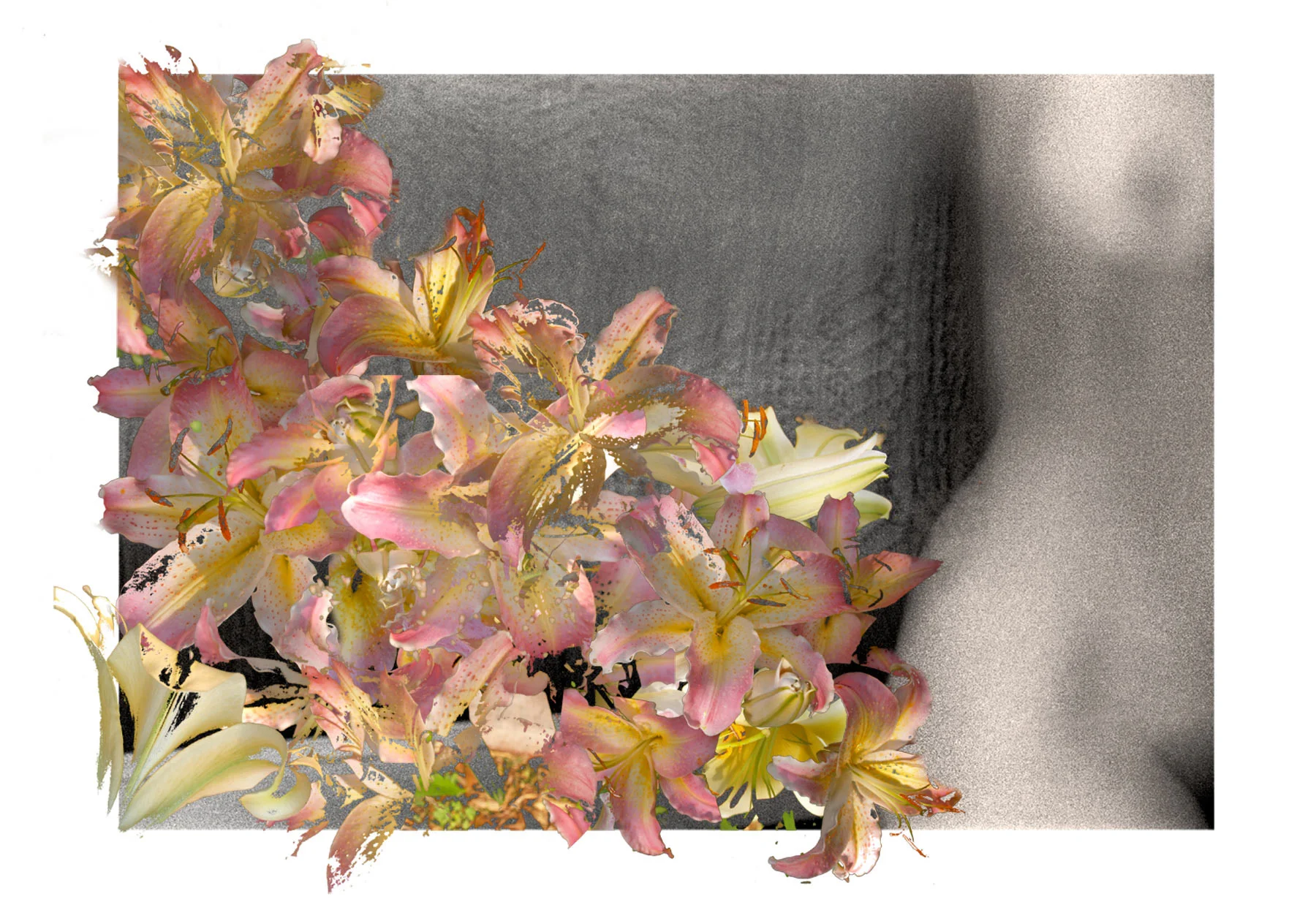 Spring Memory
