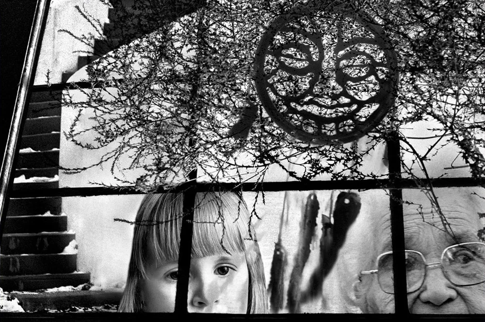 She Saw Dreams