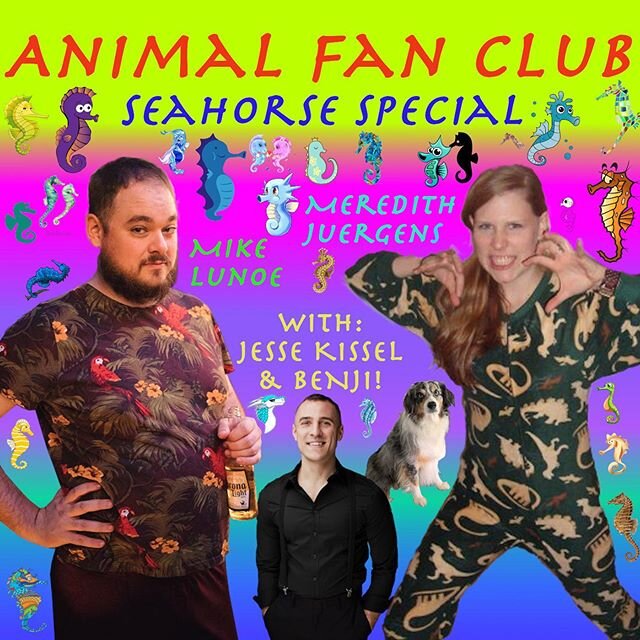 This week we have special #guest @jessekissel on the #podcast, and we learn all about #seahorses and #seadragons! Celebrity #dog #Benji joins us, and he and #Jesse have an entire #conversation in #Portuguese #🇧🇷, which is just as #thrilling as you 