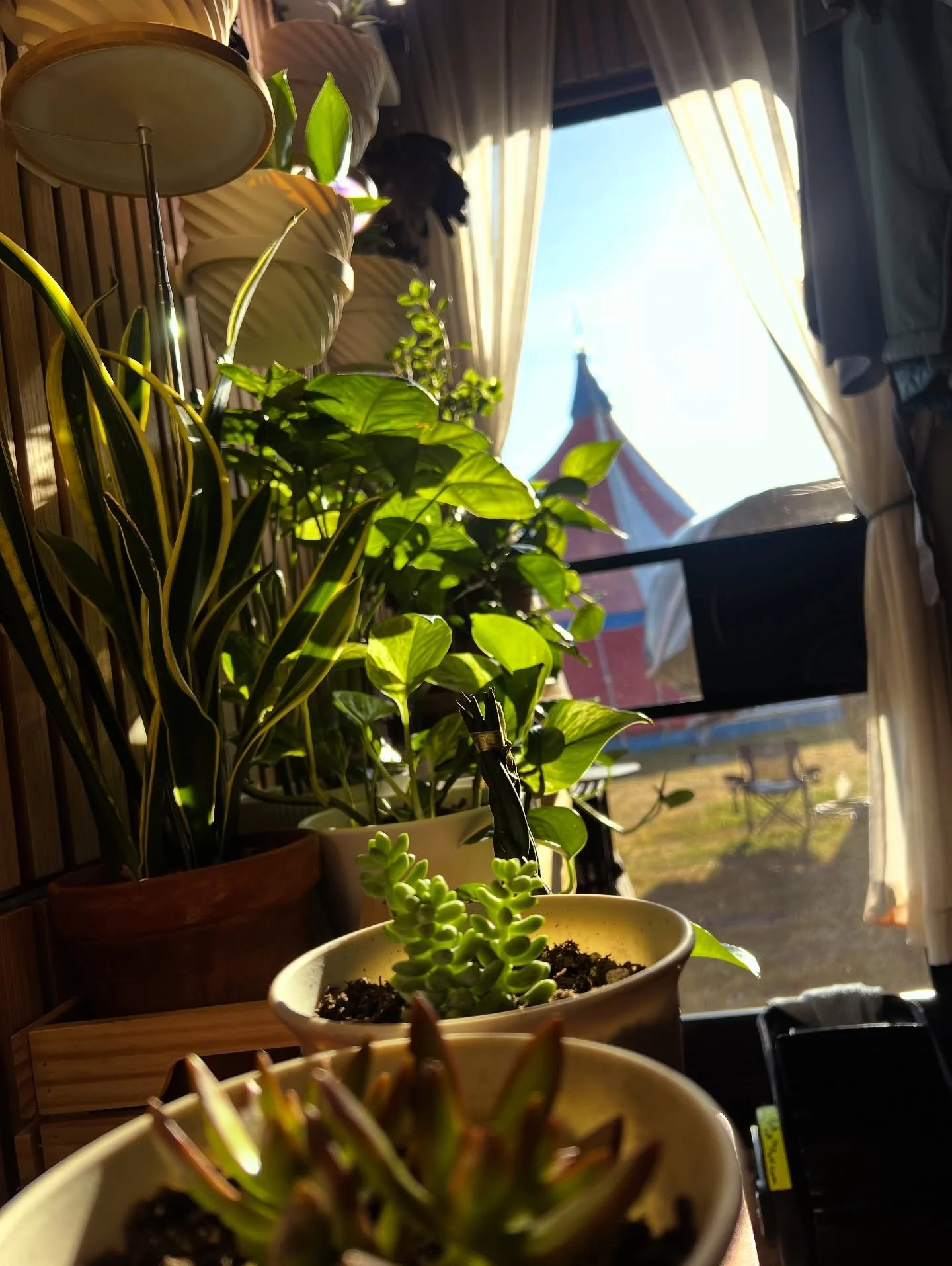 Getting in some mornin&rsquo; sun #LotLife #TourLife #PlantDaddy #LiveYourCircusDream