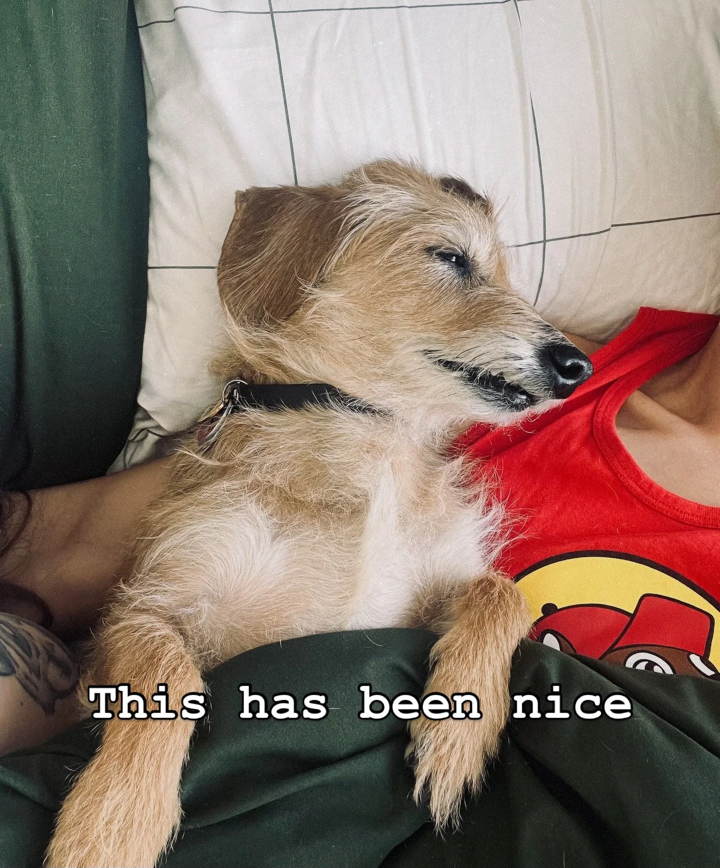 What&rsquo;s the best time-waster for forced couch rest?