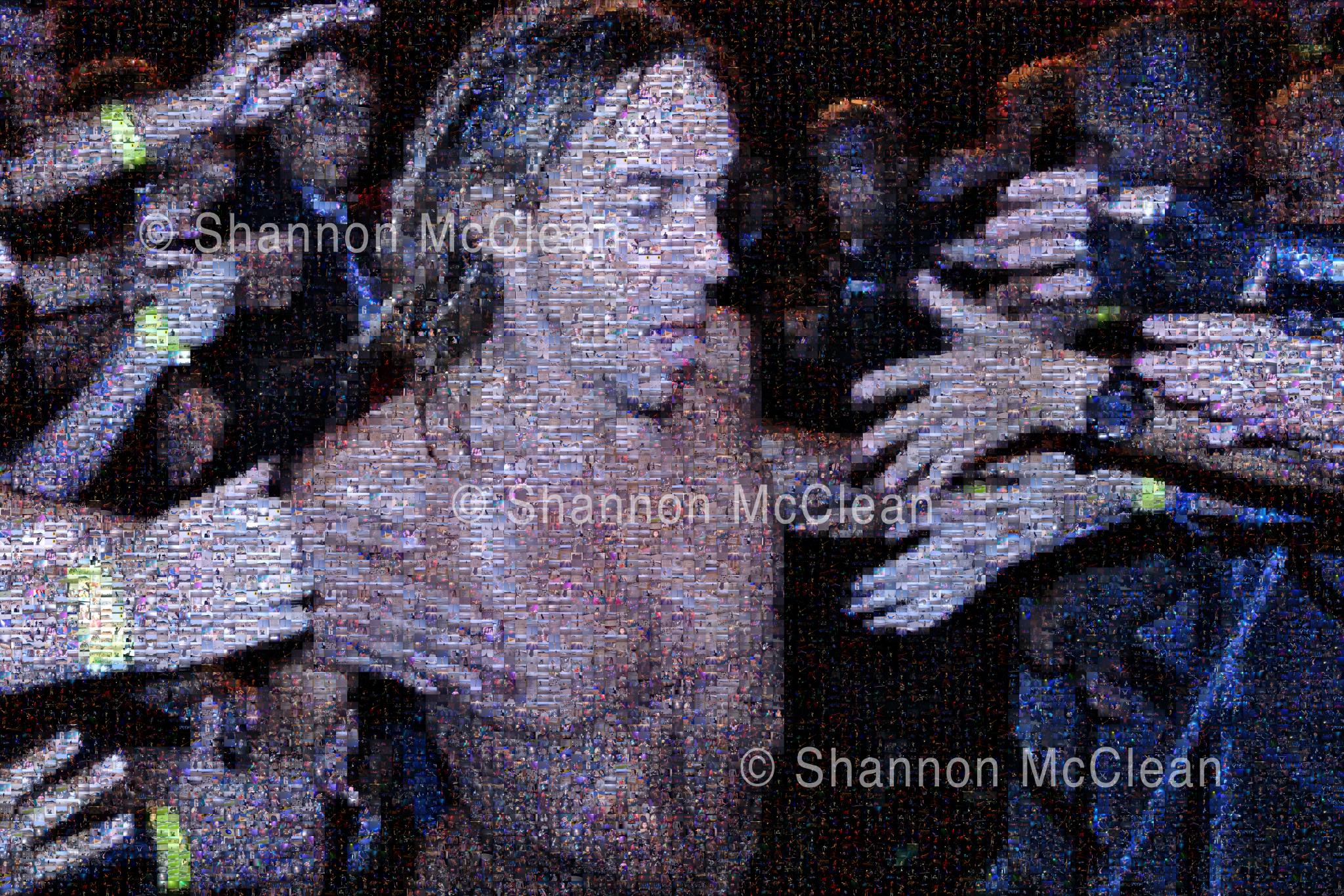 Iggy Pop Mosaic (ATP curated by Matt Groening). Made up of 8,100 images, including many contributed by fans over the ten years of the festival.