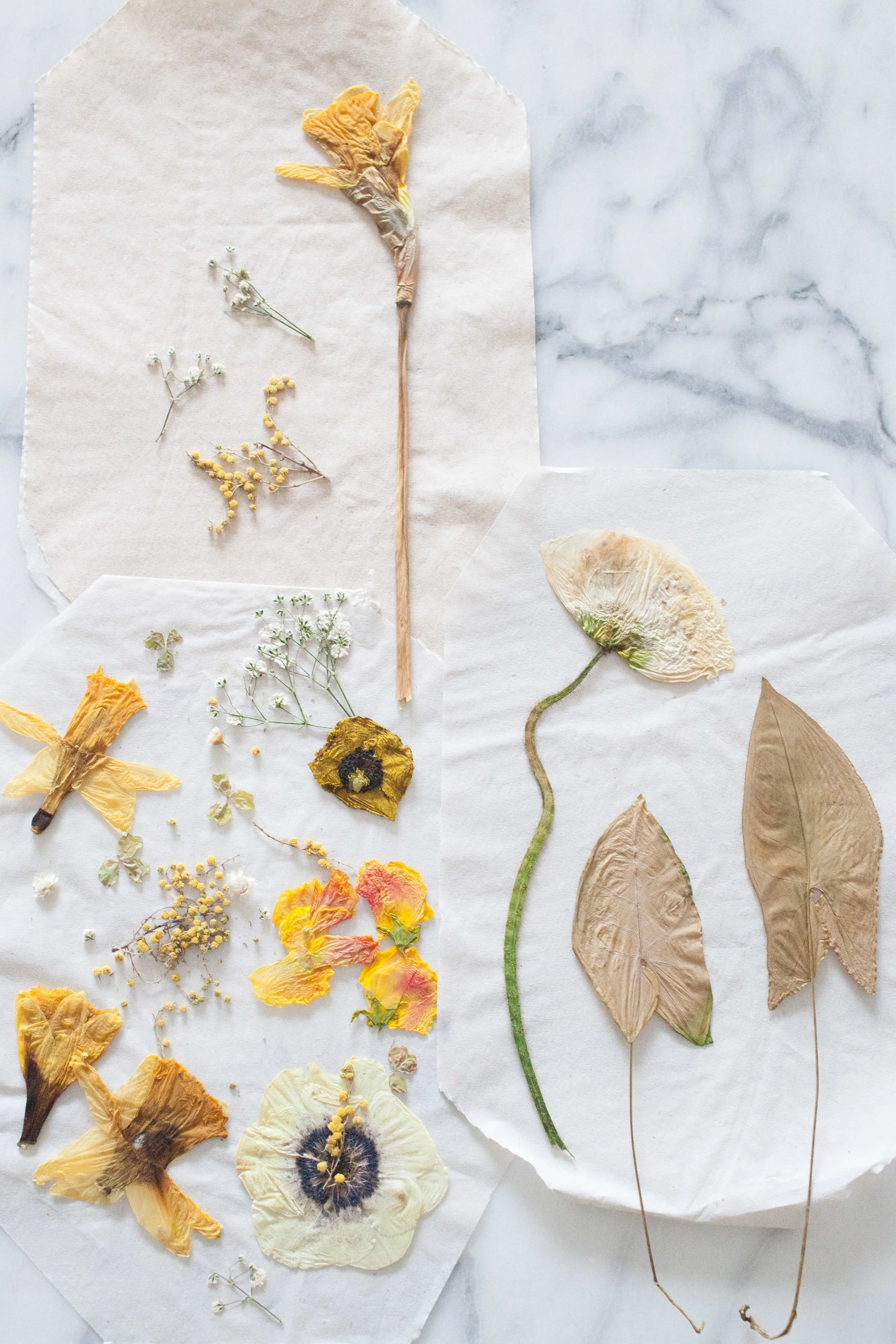 DIY Flower Press-5.jpg