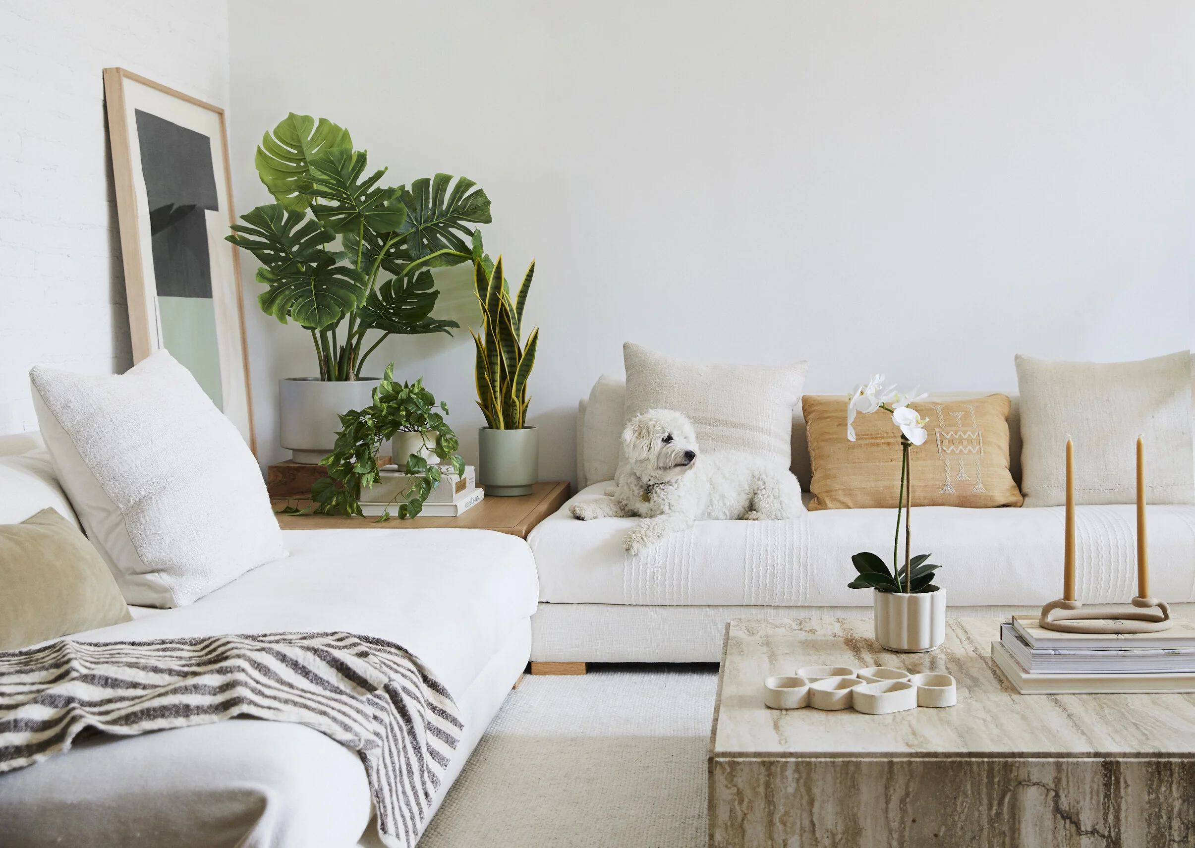 The_Sill_Living_Room_019-v3.jpg