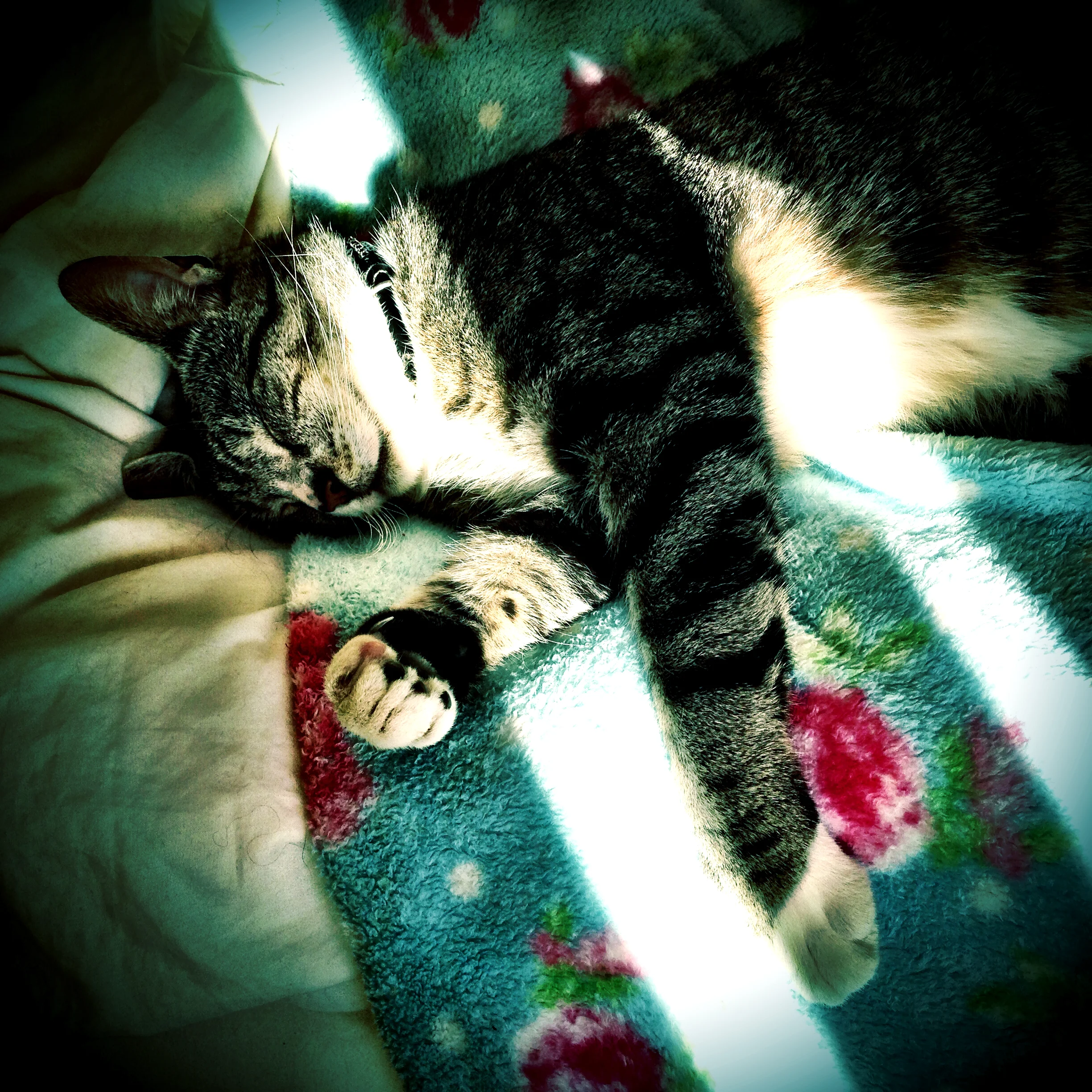 Cant Sleep?...Want a little something to help?