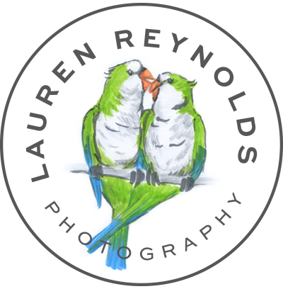 Lauren Reynolds Photography