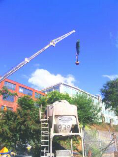 enahnced crane planting at Plant 64.jpg