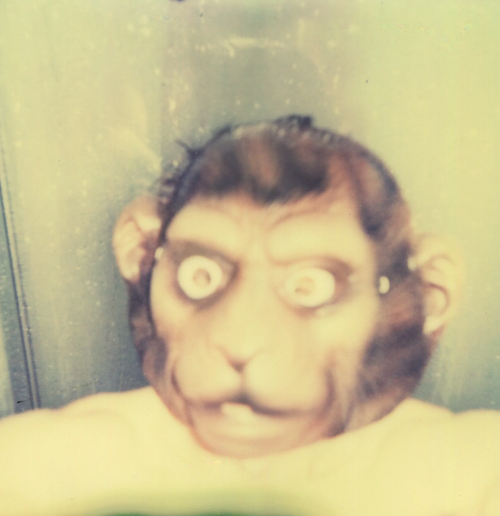 RPW_Profile_031917.jpg