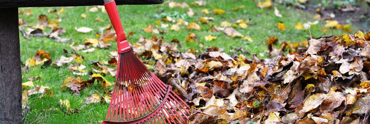 Spring Cleanup.jpg