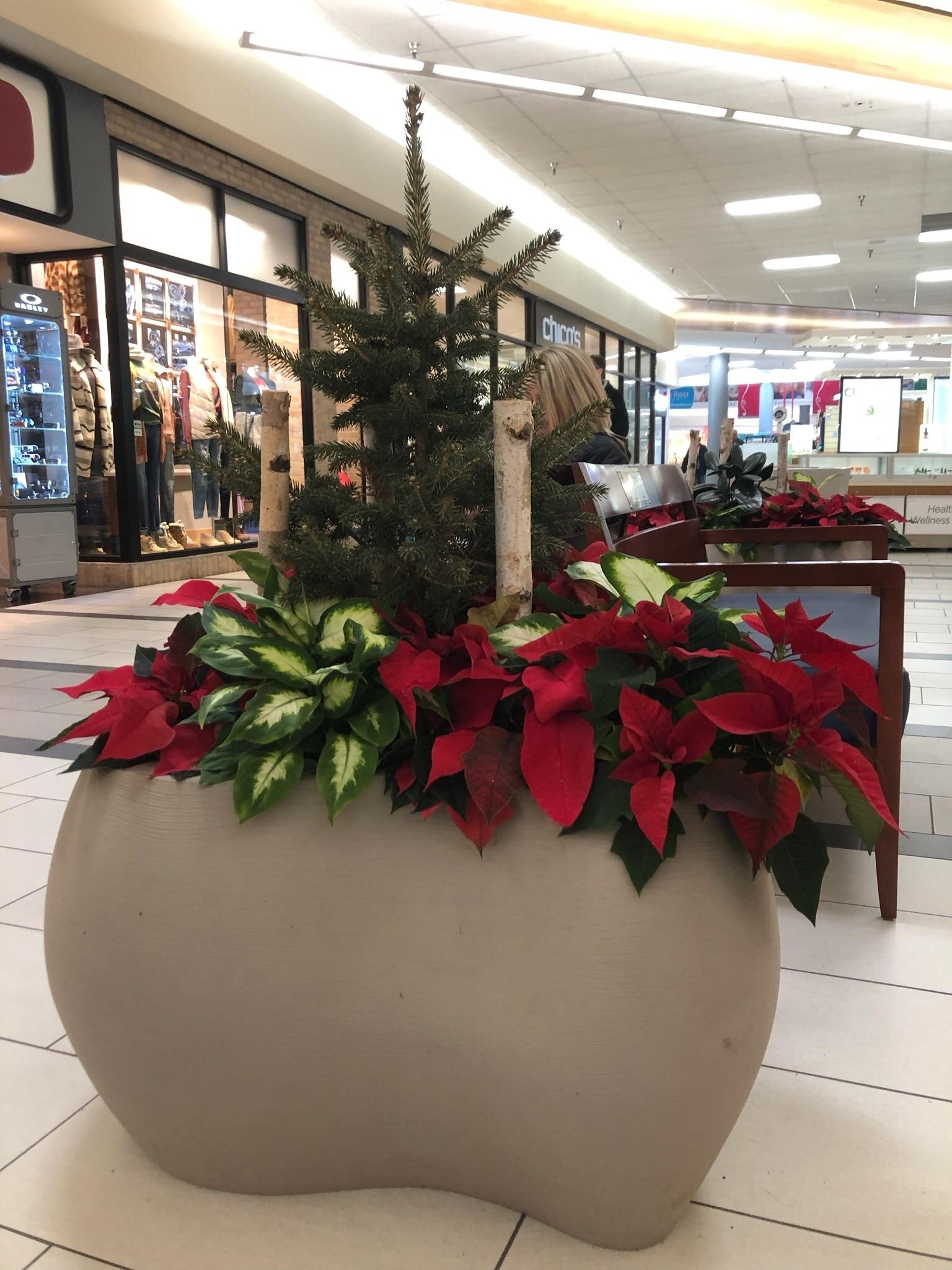 Mall Christmas planter.jpg