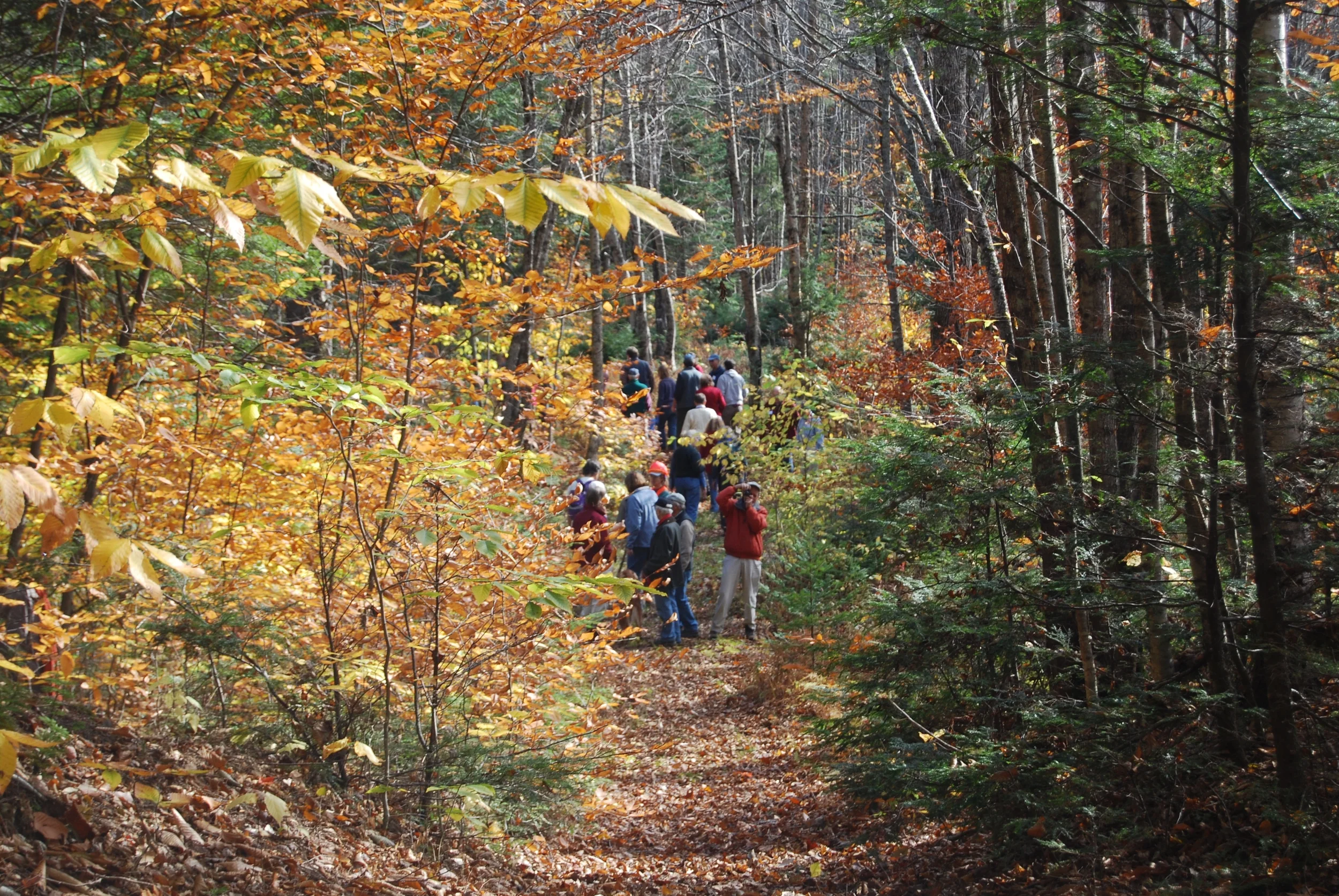 DSC_0392.JPG