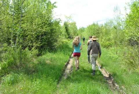 VWHtrailworkwade.jpg