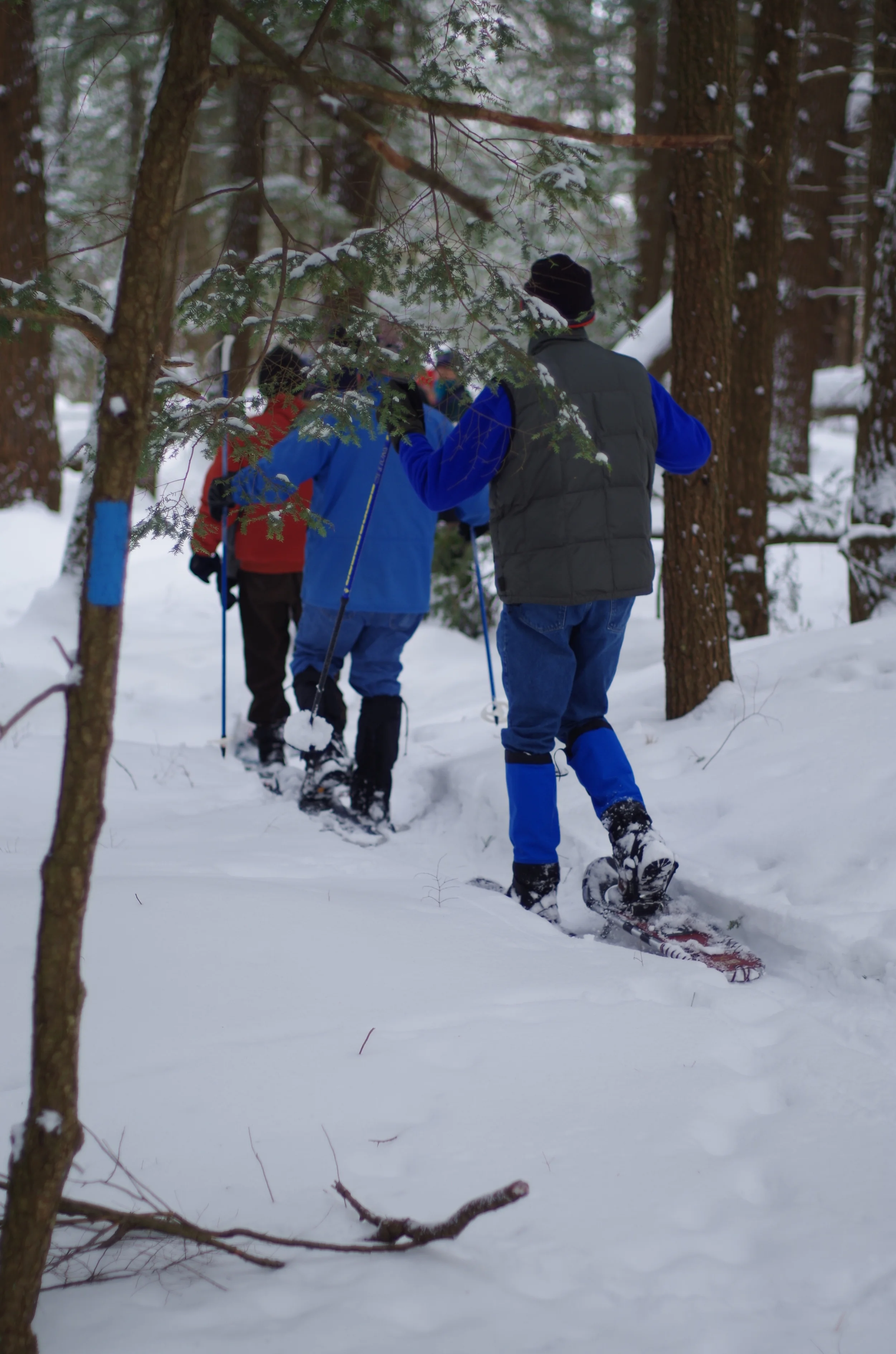 Snowshoeing the Perkins Trail in Winter 2015. Photo: Jean- Luc Theriault