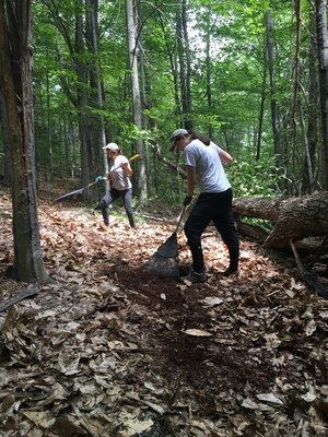 2017 Interns Building a New Trail on Mount Pisgah