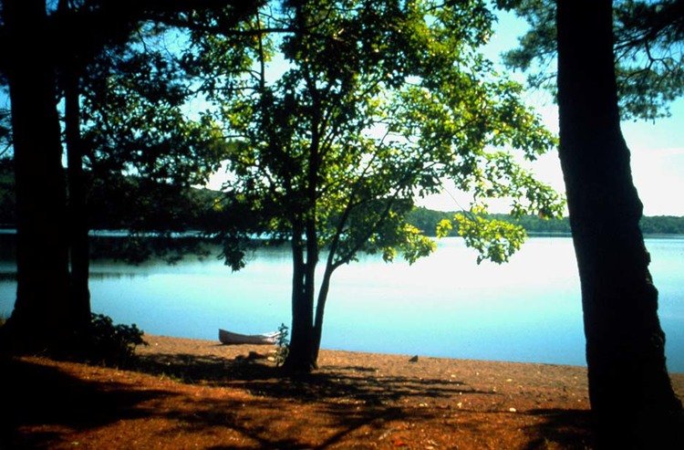 Norris Island Beach