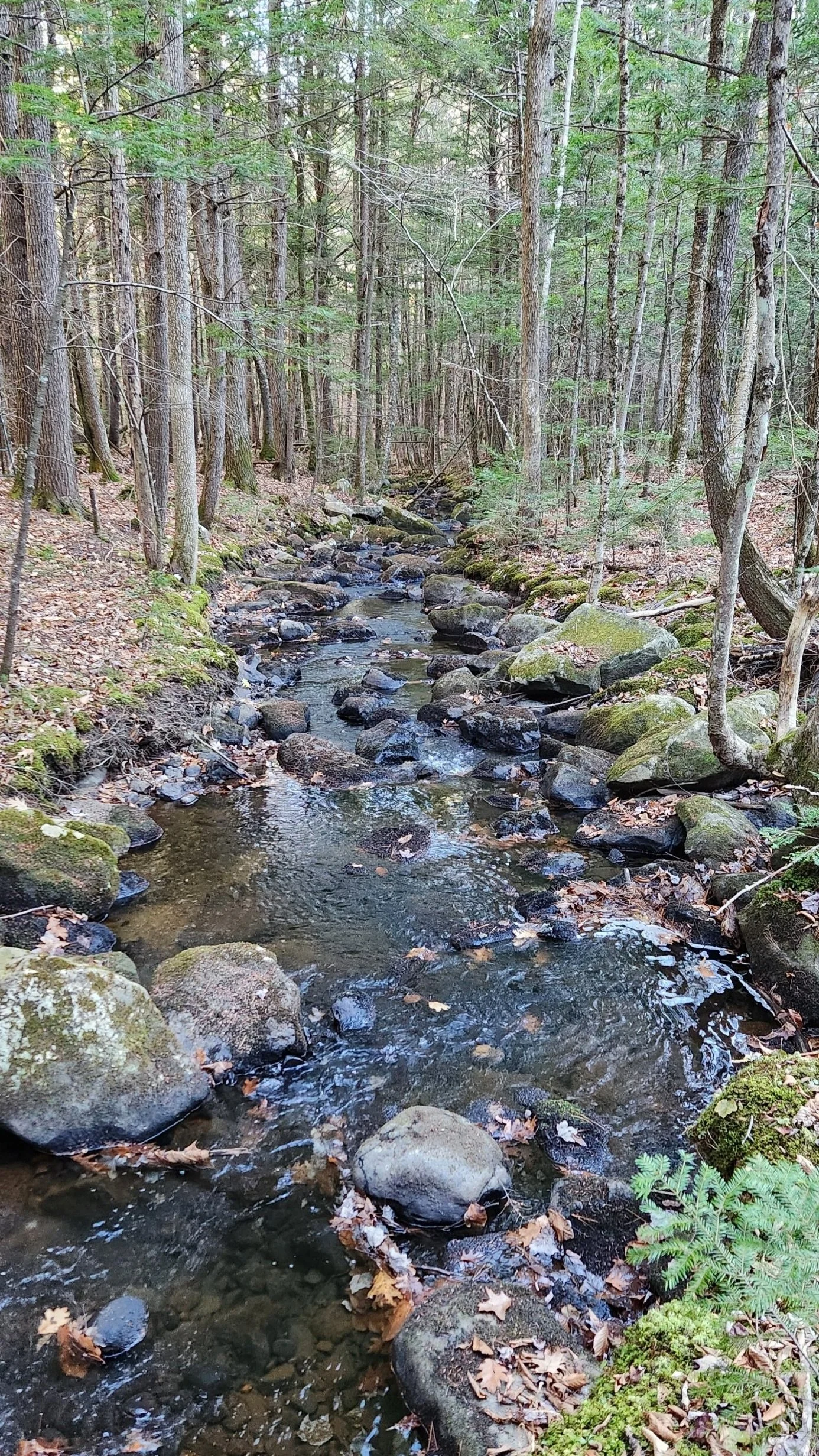 Eaton Mt. Property Dedication