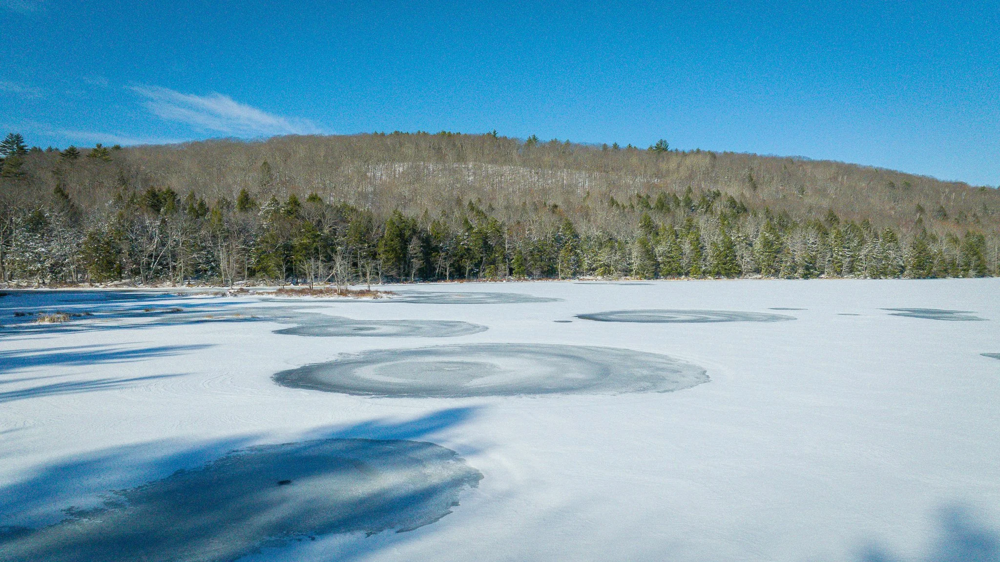 Community Walk at the Shedd Pond Addition