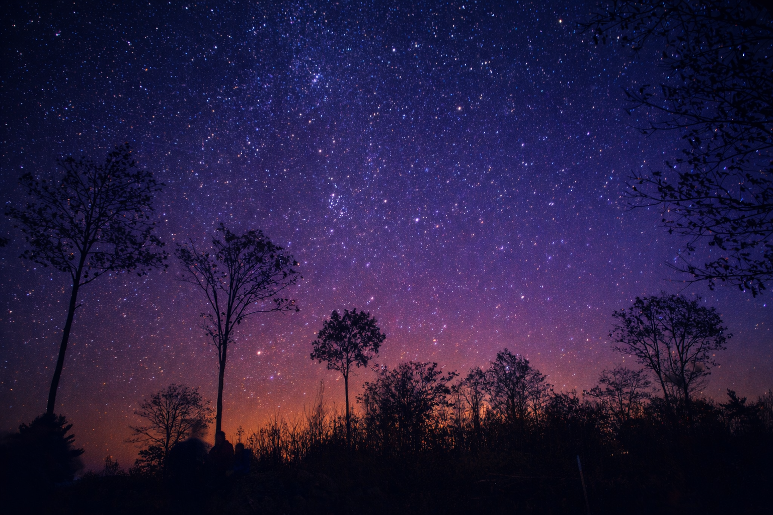 Celestial Bash: An Evening of Stargazing and Astronomy